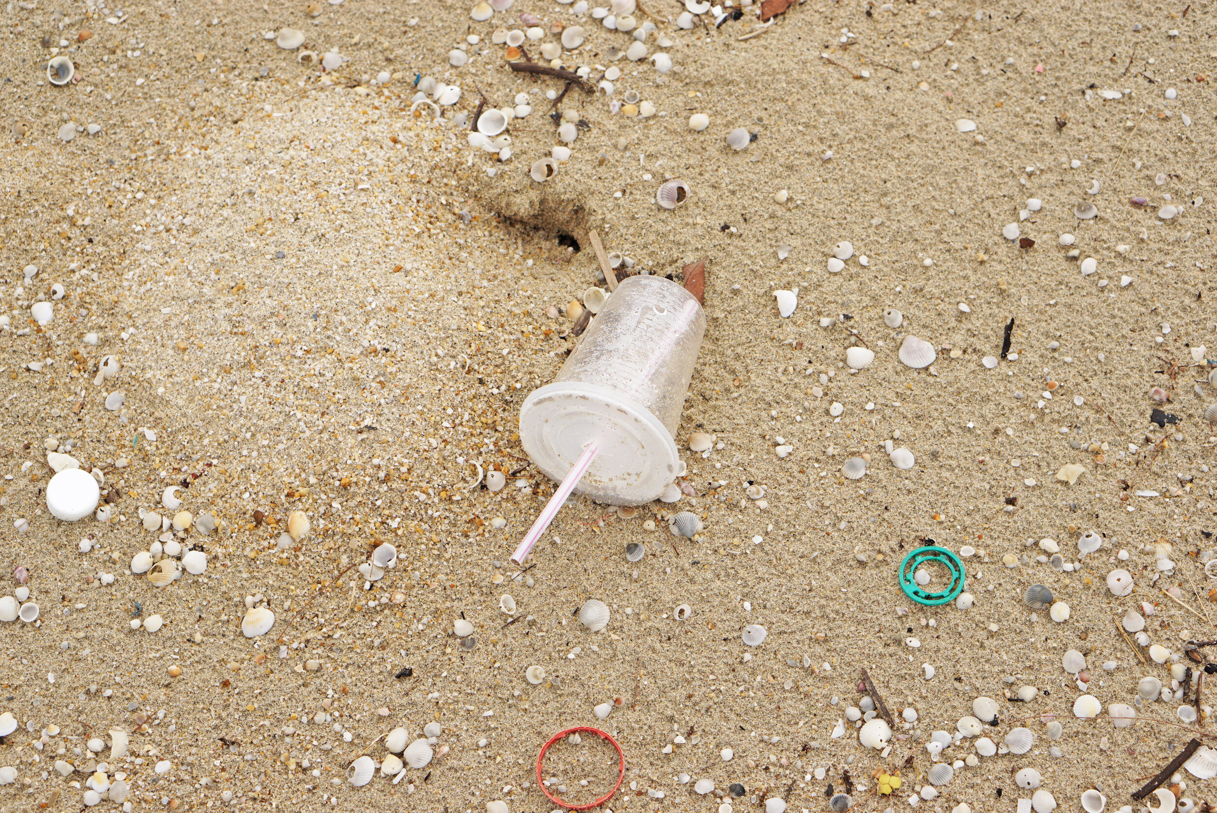 California Plastic Pollution Initiative Qualifies for Statewide Ballot