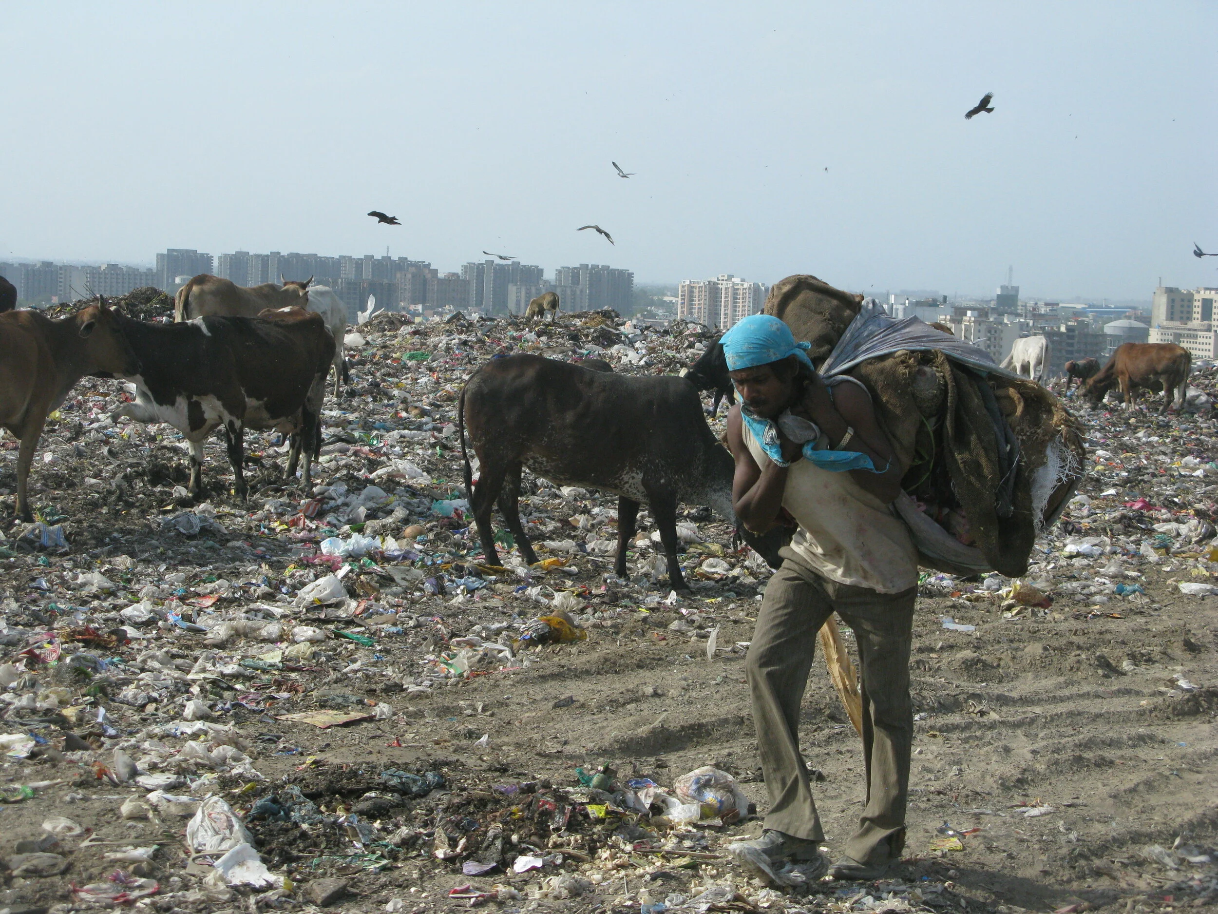 NEW: Predicted Growth in Plastic Waste Exceeds Efforts to Mitigate Plastic Pollution