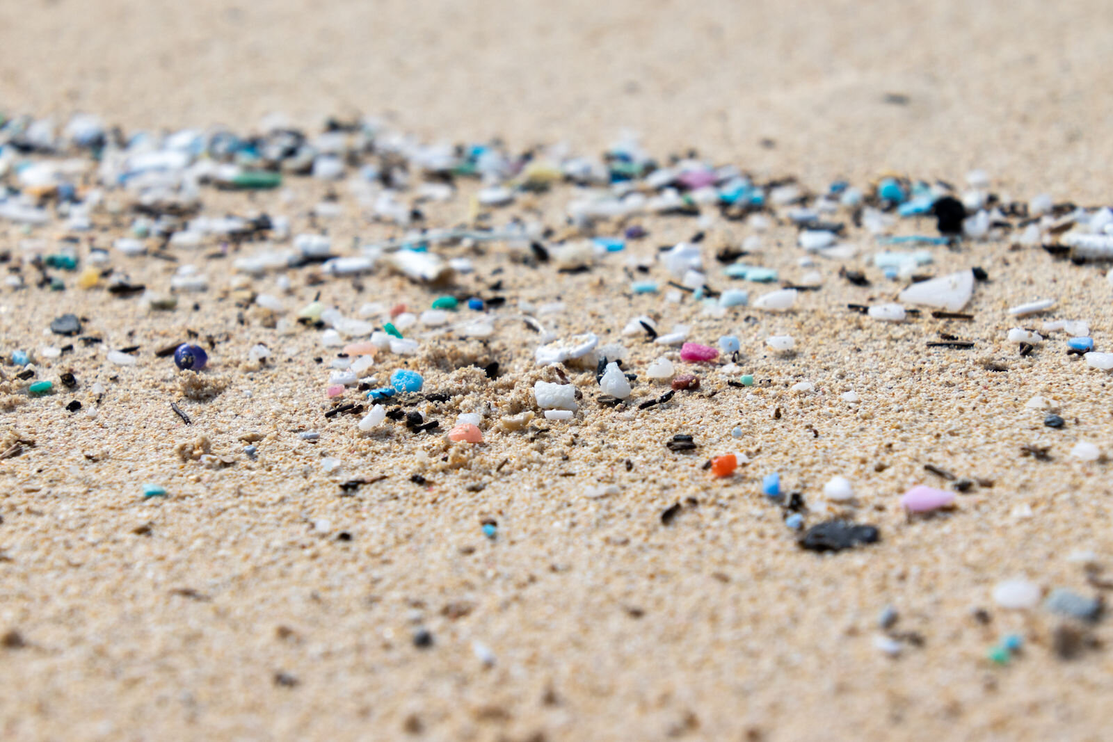 Udall Introduces Legislation to Prevent Corporations from Dumping Plastic Pellets Into Oceans and Waterways   