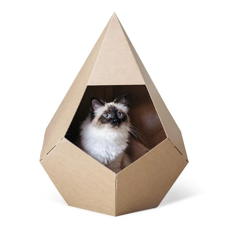 Boba & Vespa Cat .jpg