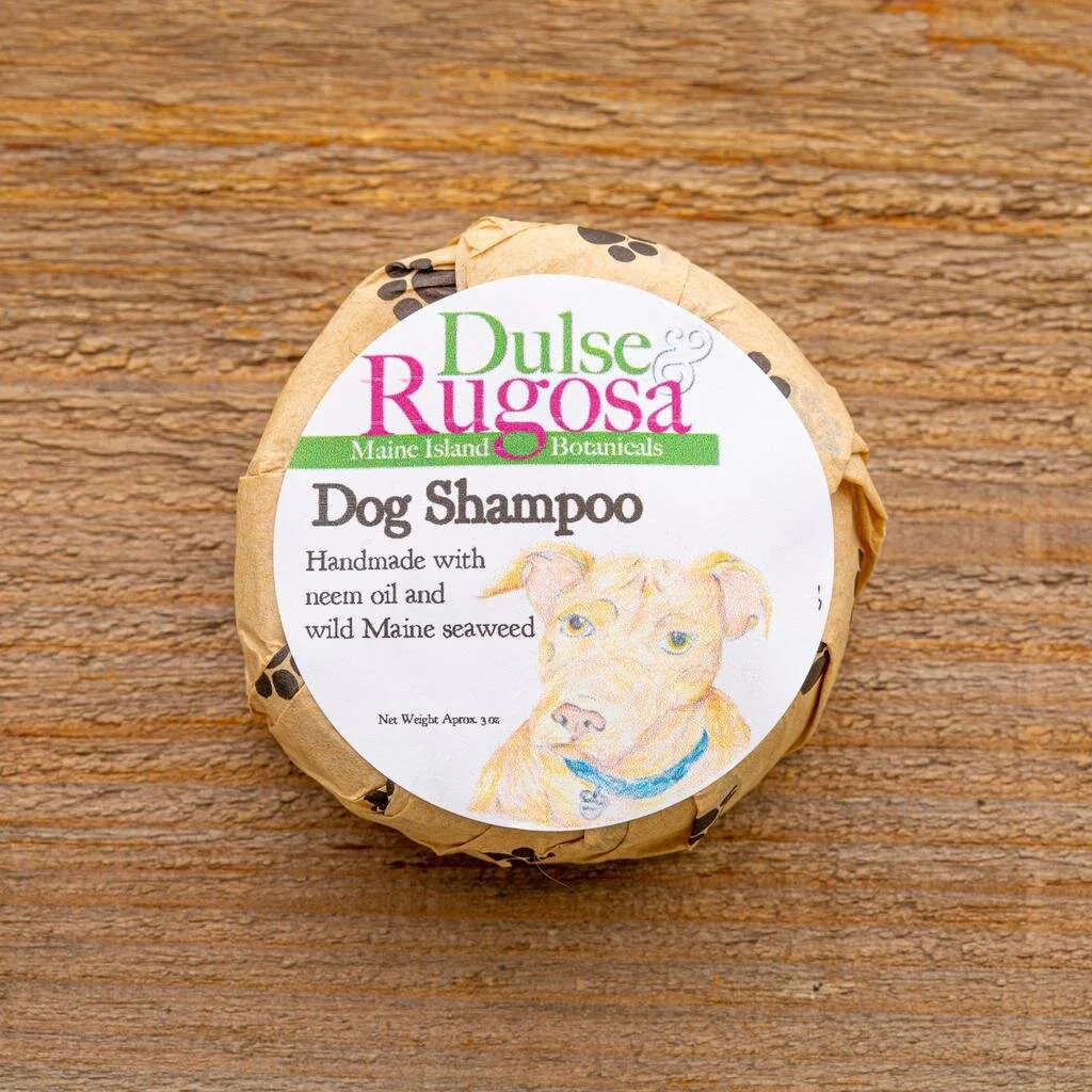 Dulse & Rugosa - Dog Shampoo.jpg