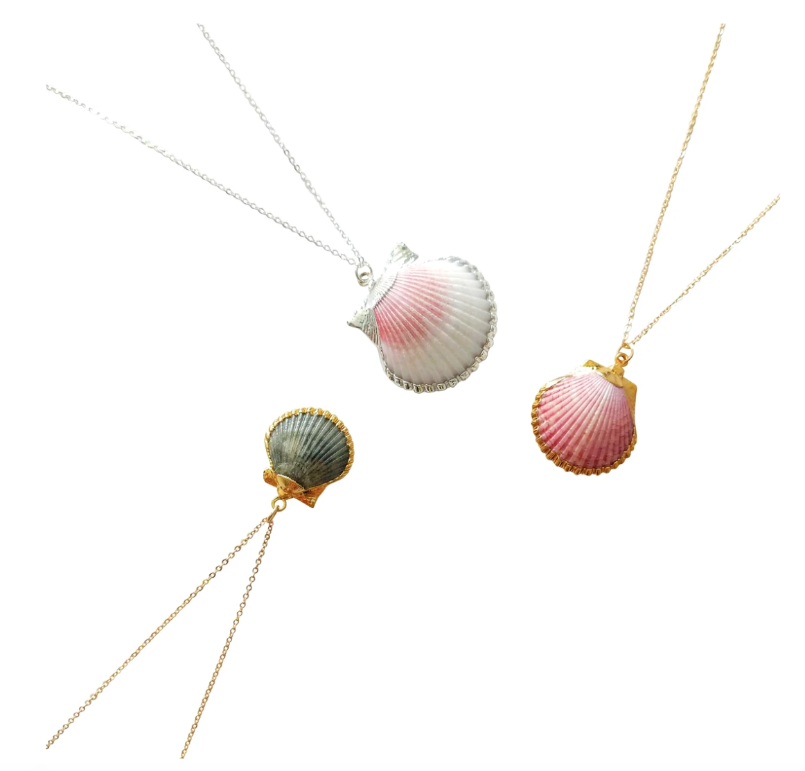 Clam & Clasp - Advocate Necklace.png