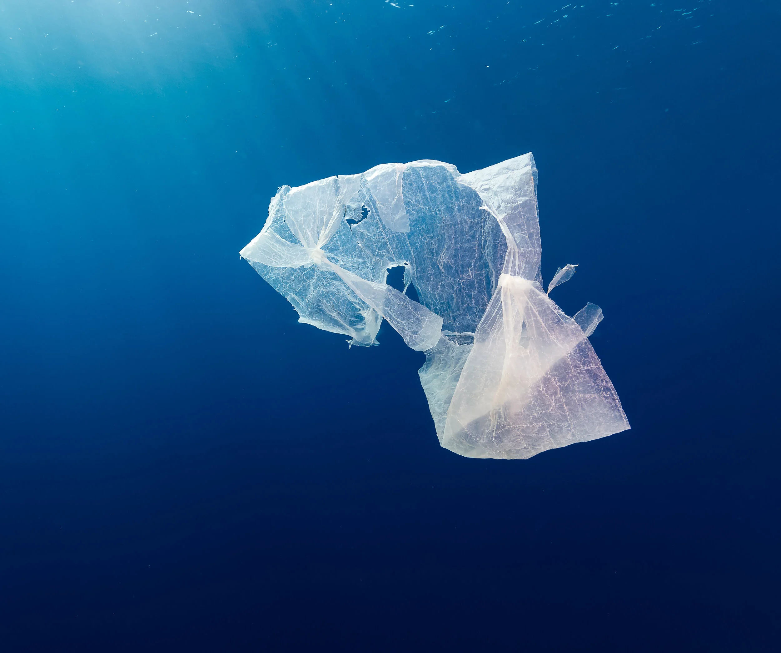 More than 250 Organizations Urge President Biden and Congress to Invest $1.3 Billion in Congressional Stimulus and Funding Bills to Address the Plastic Pollution Crisis 