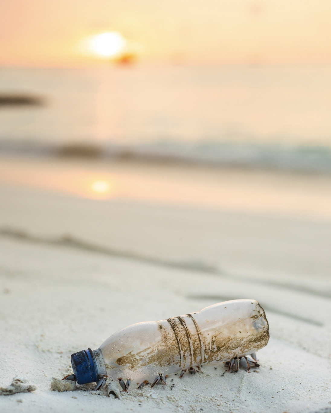 Earth Island Files Lawsuit Against BlueTriton Brands (Formerly Nestlé Waters) for False Advertising