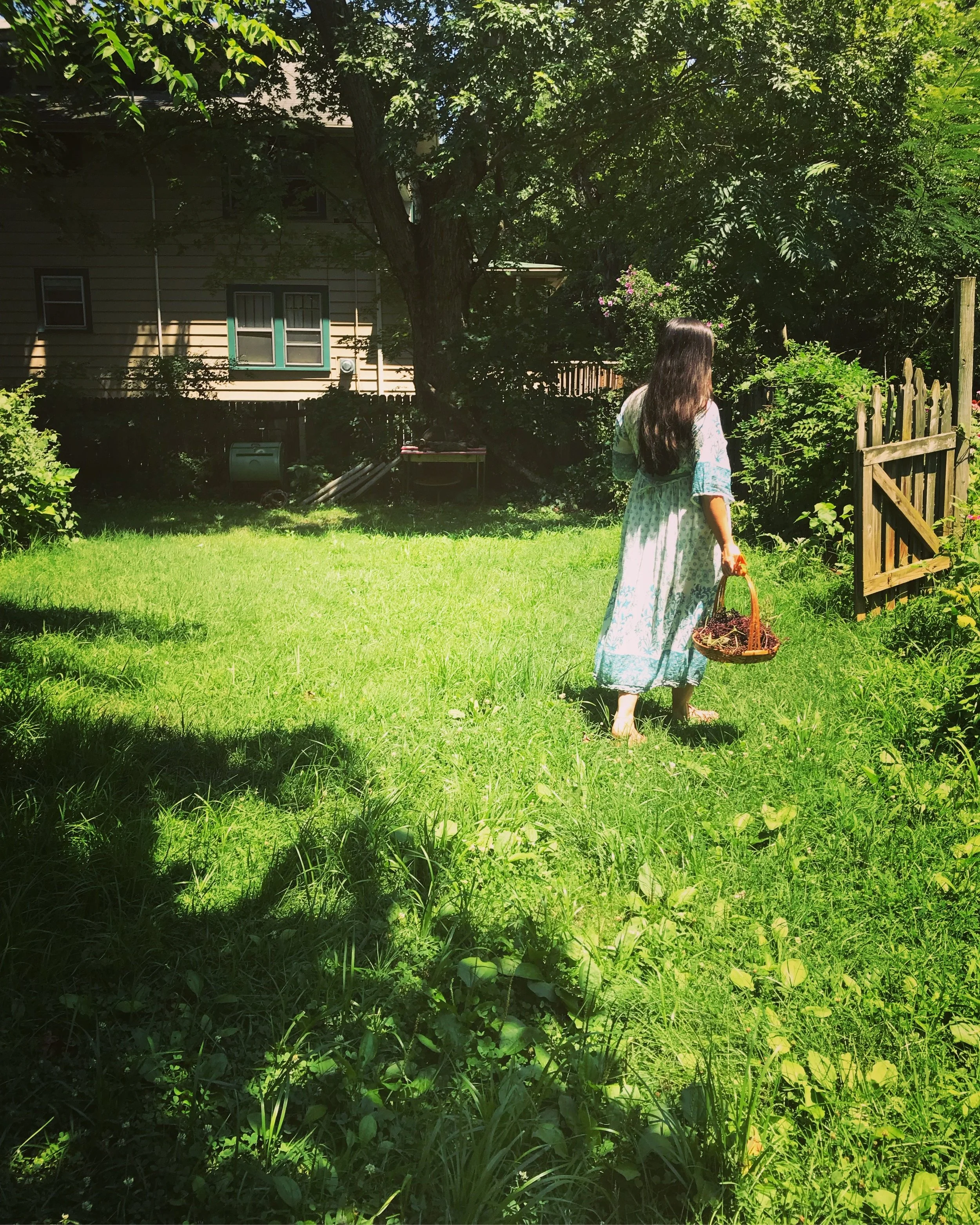 cfab0456-1b30-4832-aa5a-2a0dd0b07cc4.jpg