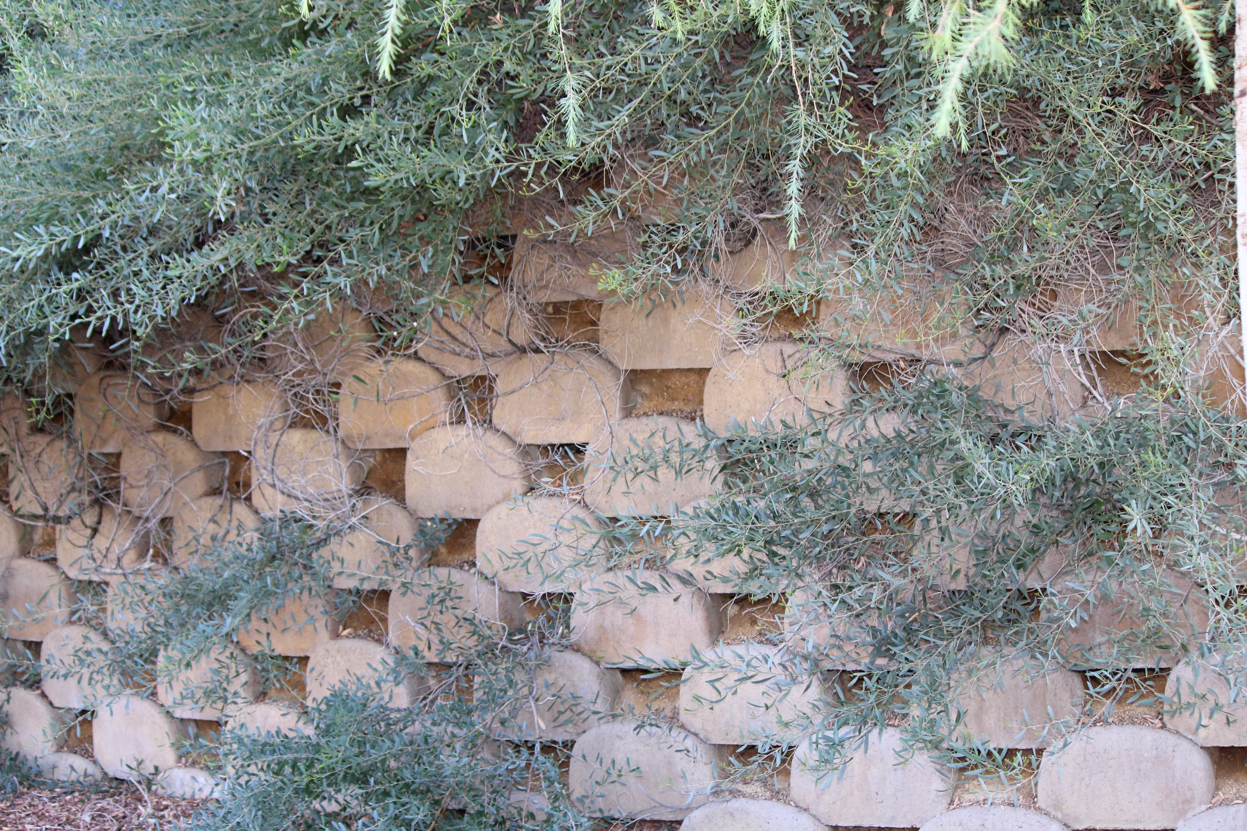 Retaining Walls