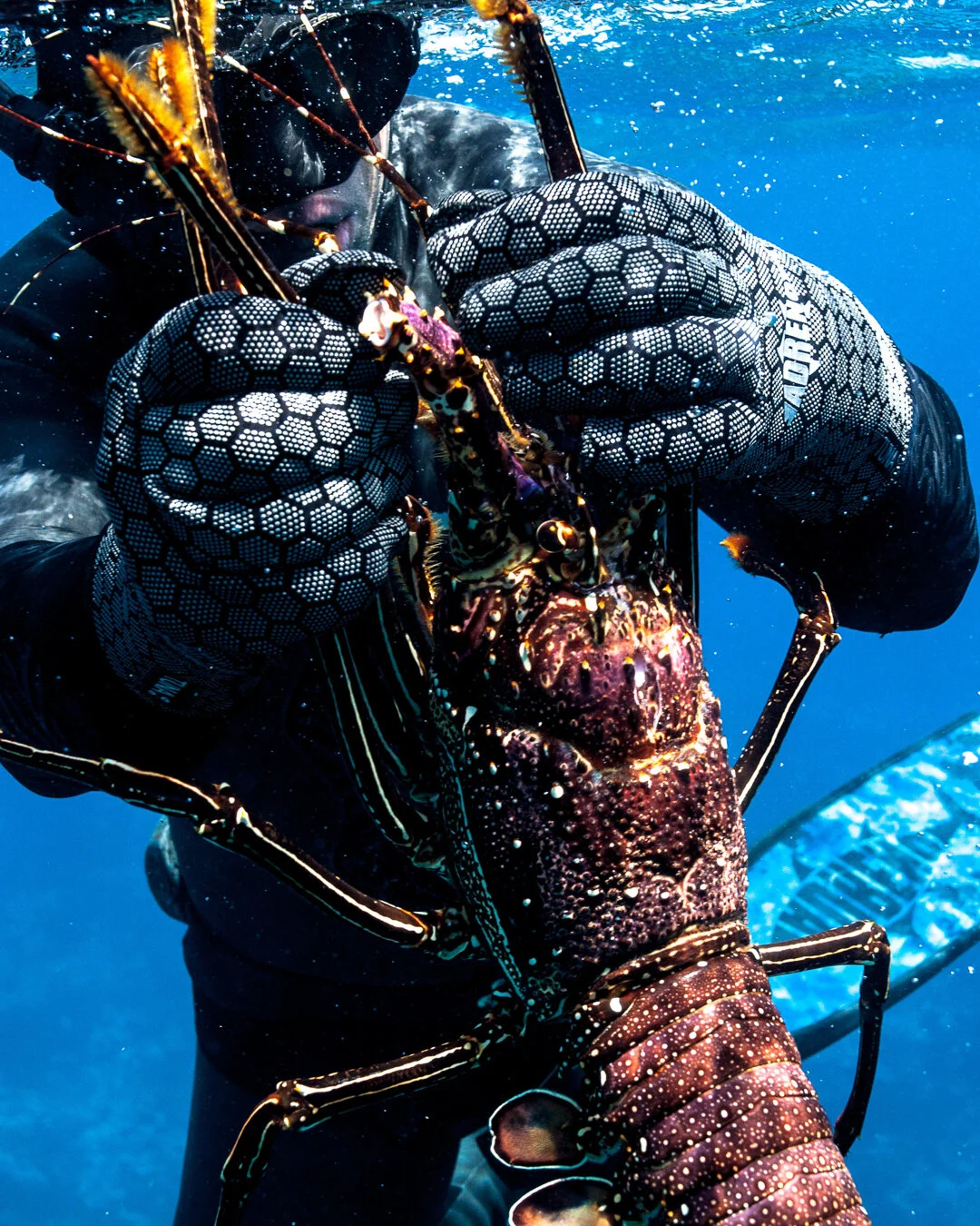 Lorde Howe Island, Australia [2019]