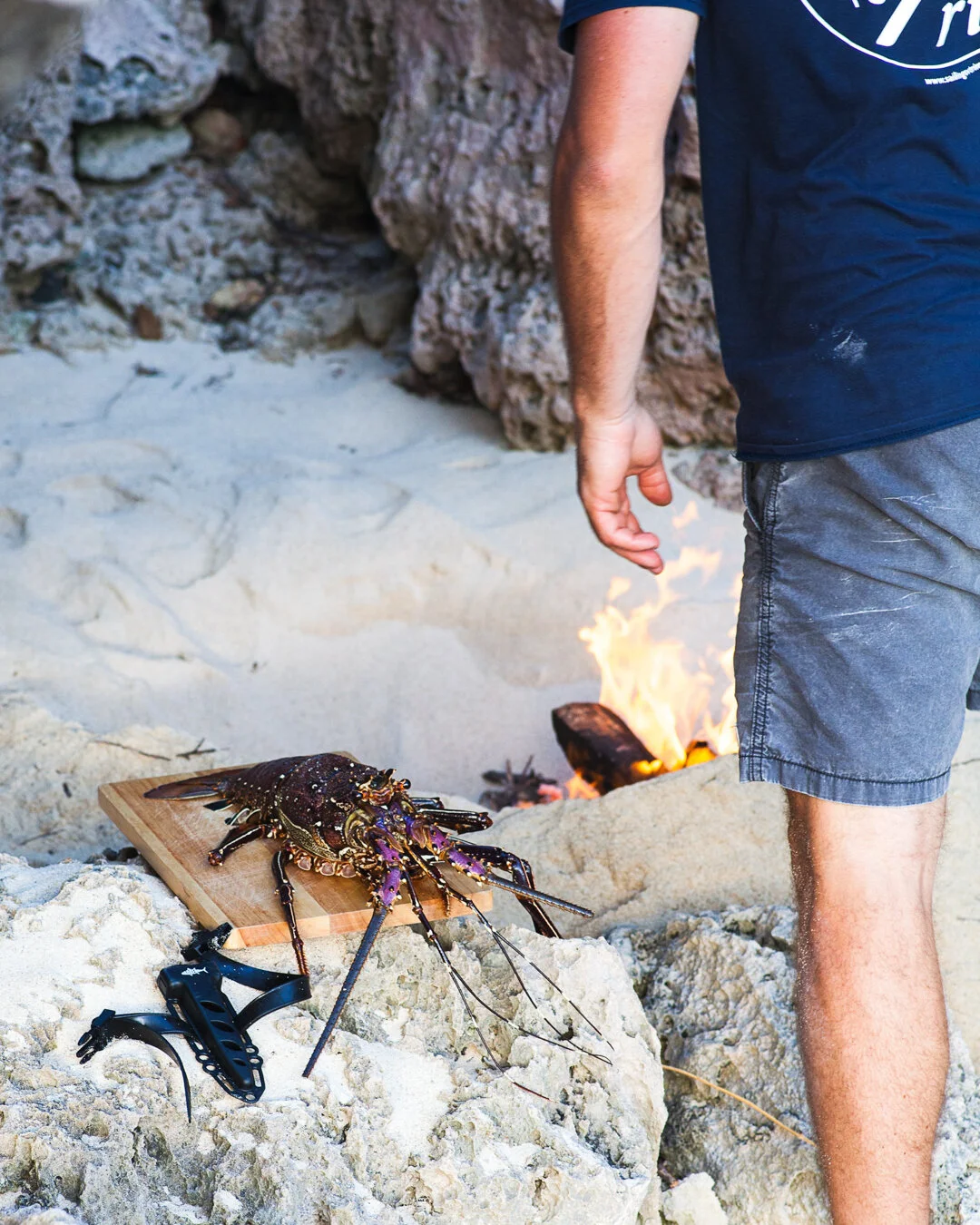 02 Crayfish - Nick-1.JPG