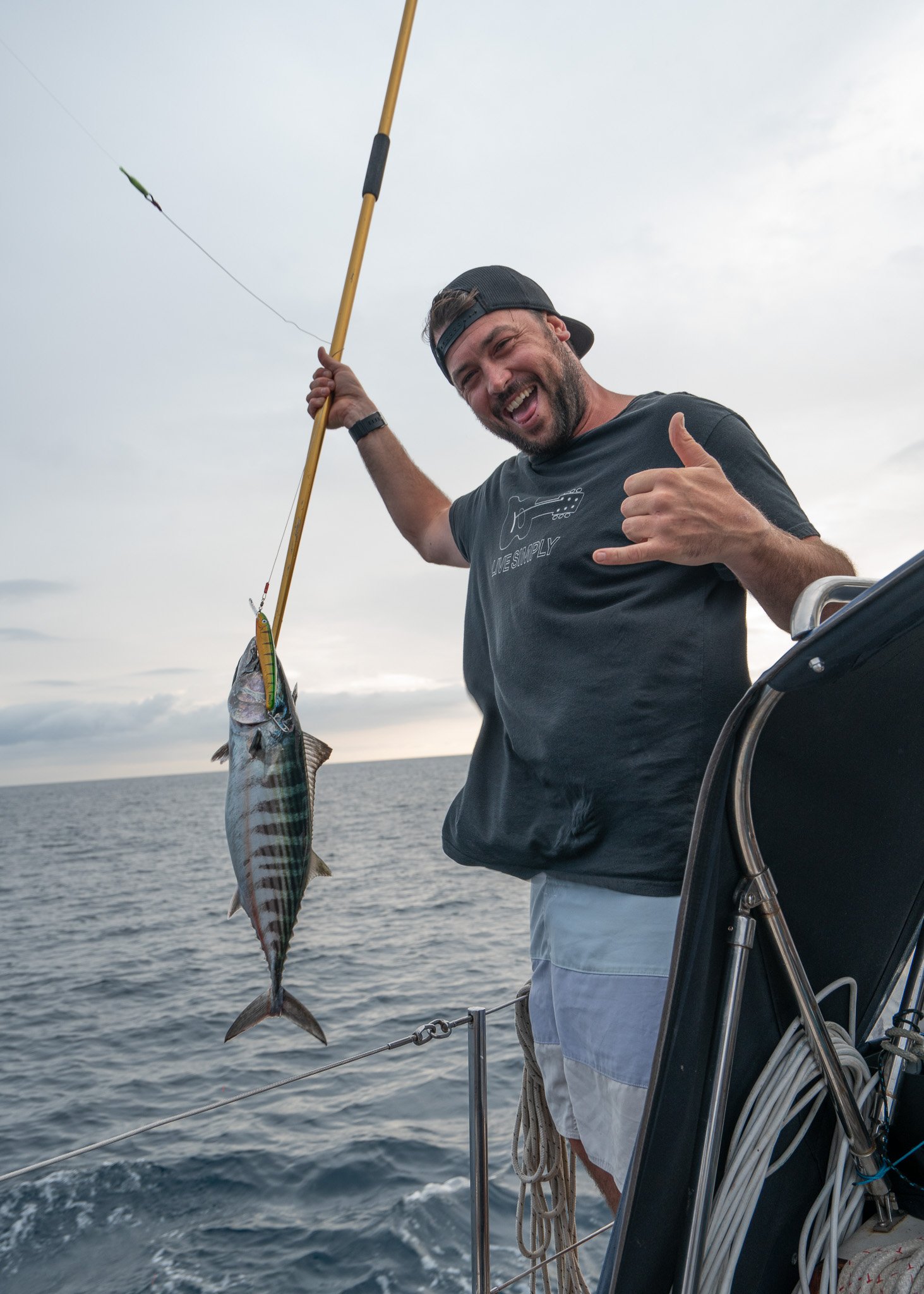 Canary Islands [2017]