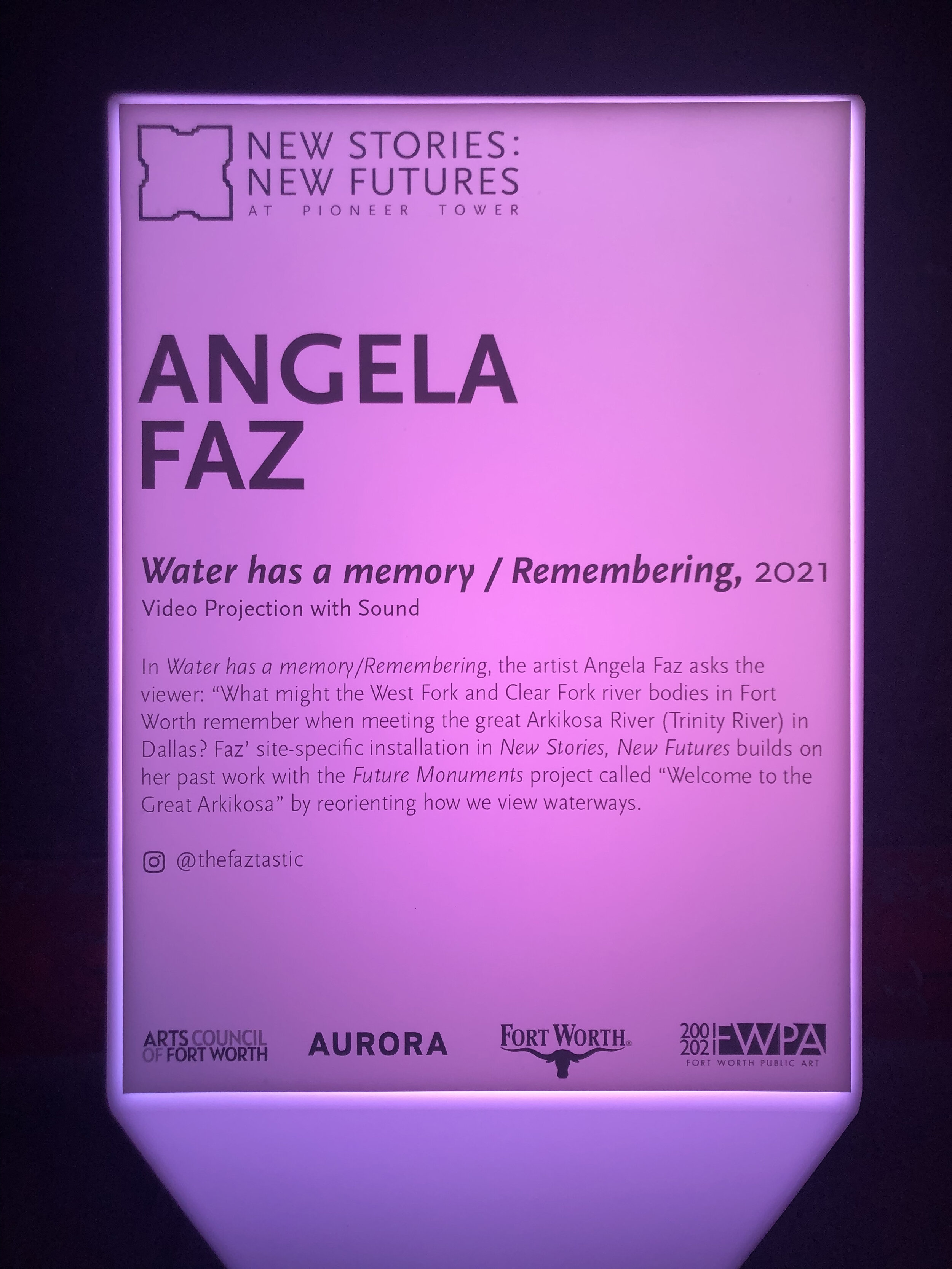 angela-faz-new-stories-new-futures-01.jpg