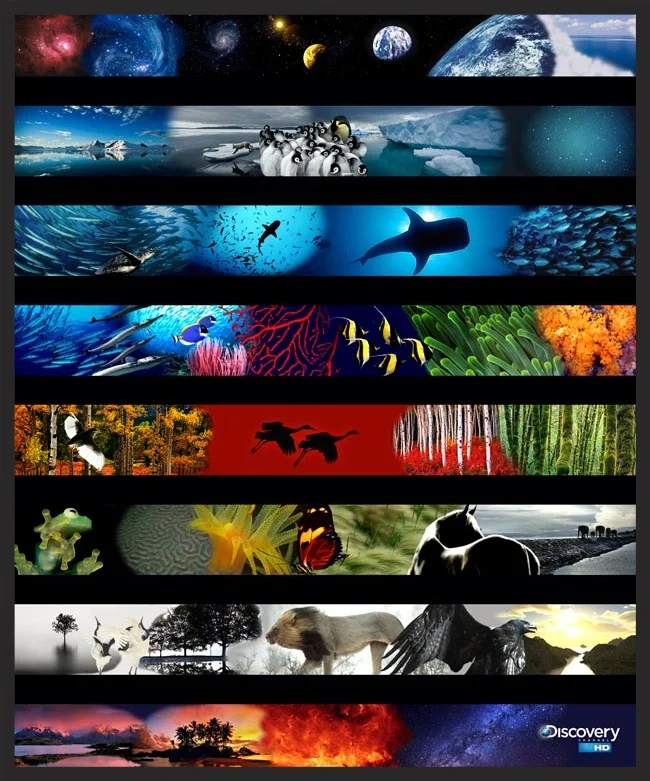 Discovery Channel