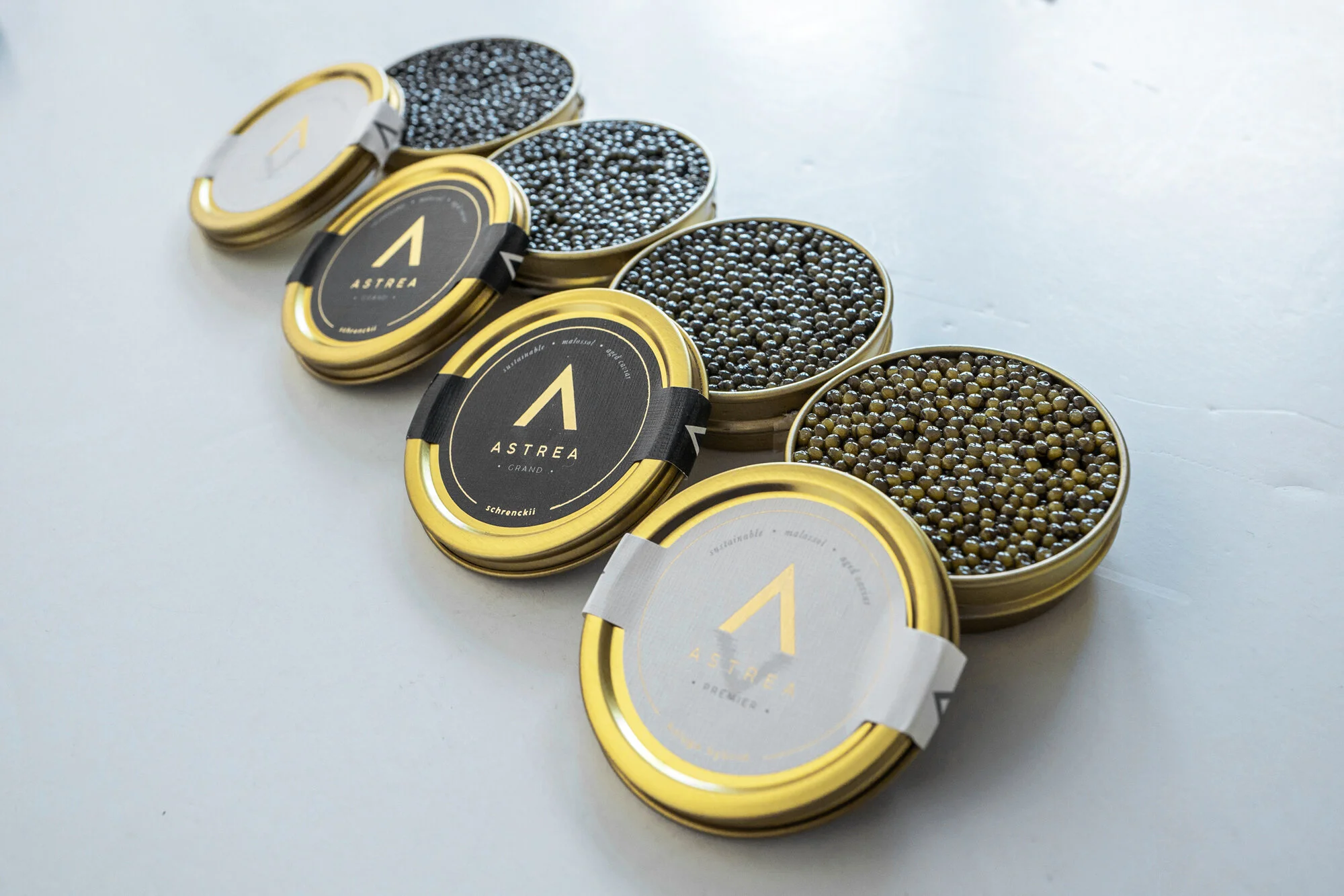2019.10.06_Astera_Caviar_Image-98.jpg