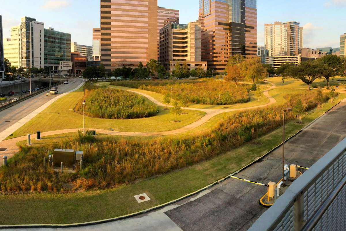 MD Anderson Prairie - A "pocket prairie" in Houston's world famous Texas Medical Center a project of Katy Prairie Conservancy and MD Anderson Cancer Center Photo by Jaime González