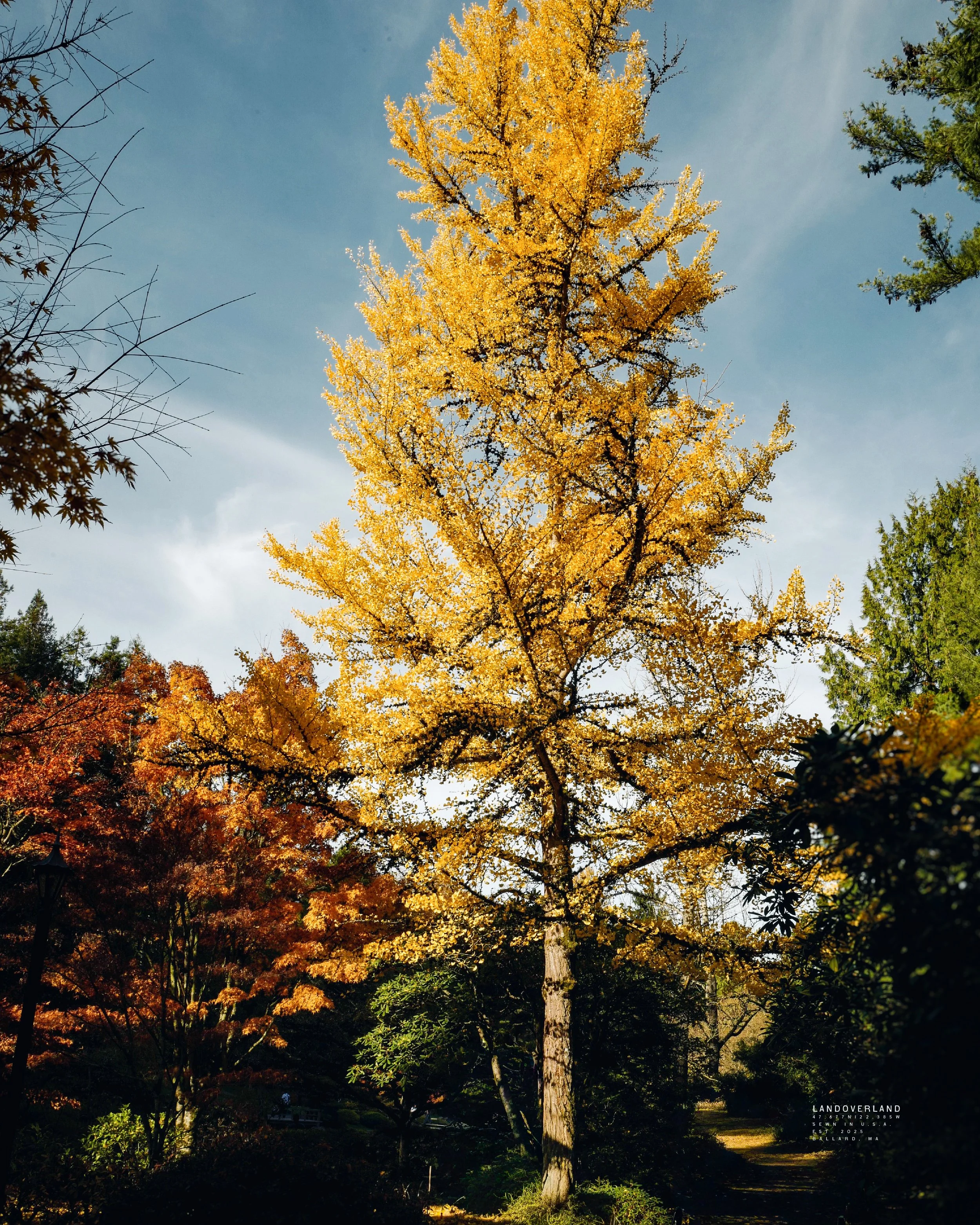 LANDOVERLAND Fall Outing Arboretum POST2.jpg