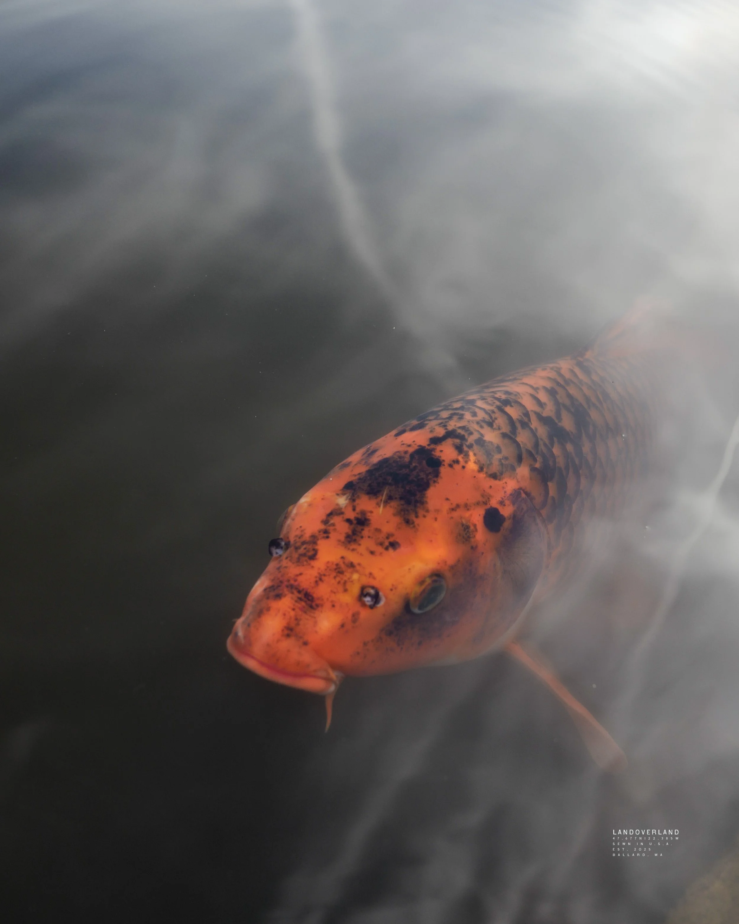 LANDOVERLAND Fall Outing Arboretum POST4.jpg