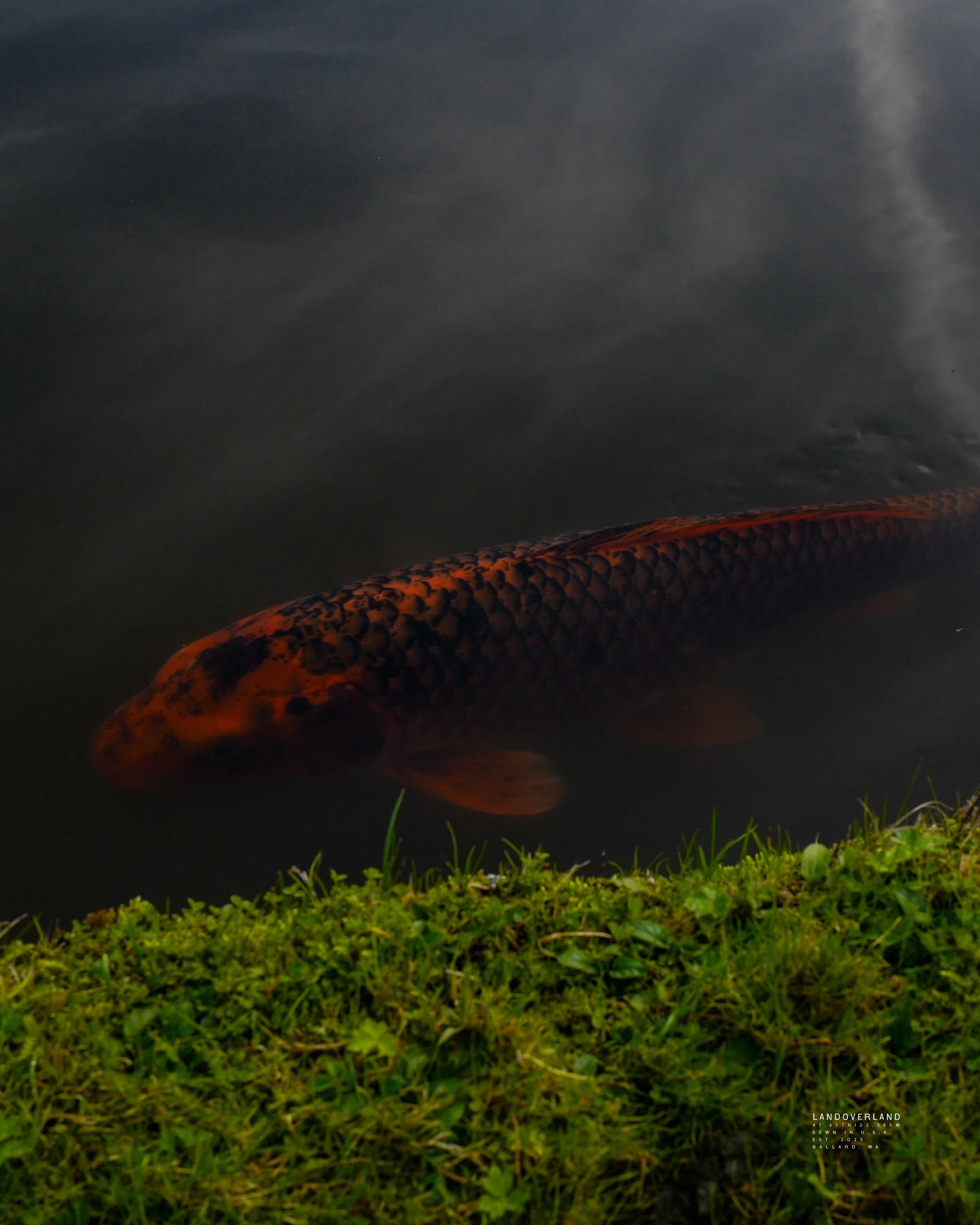 LANDOVERLAND Fall Outing Arboretum POST5.jpg