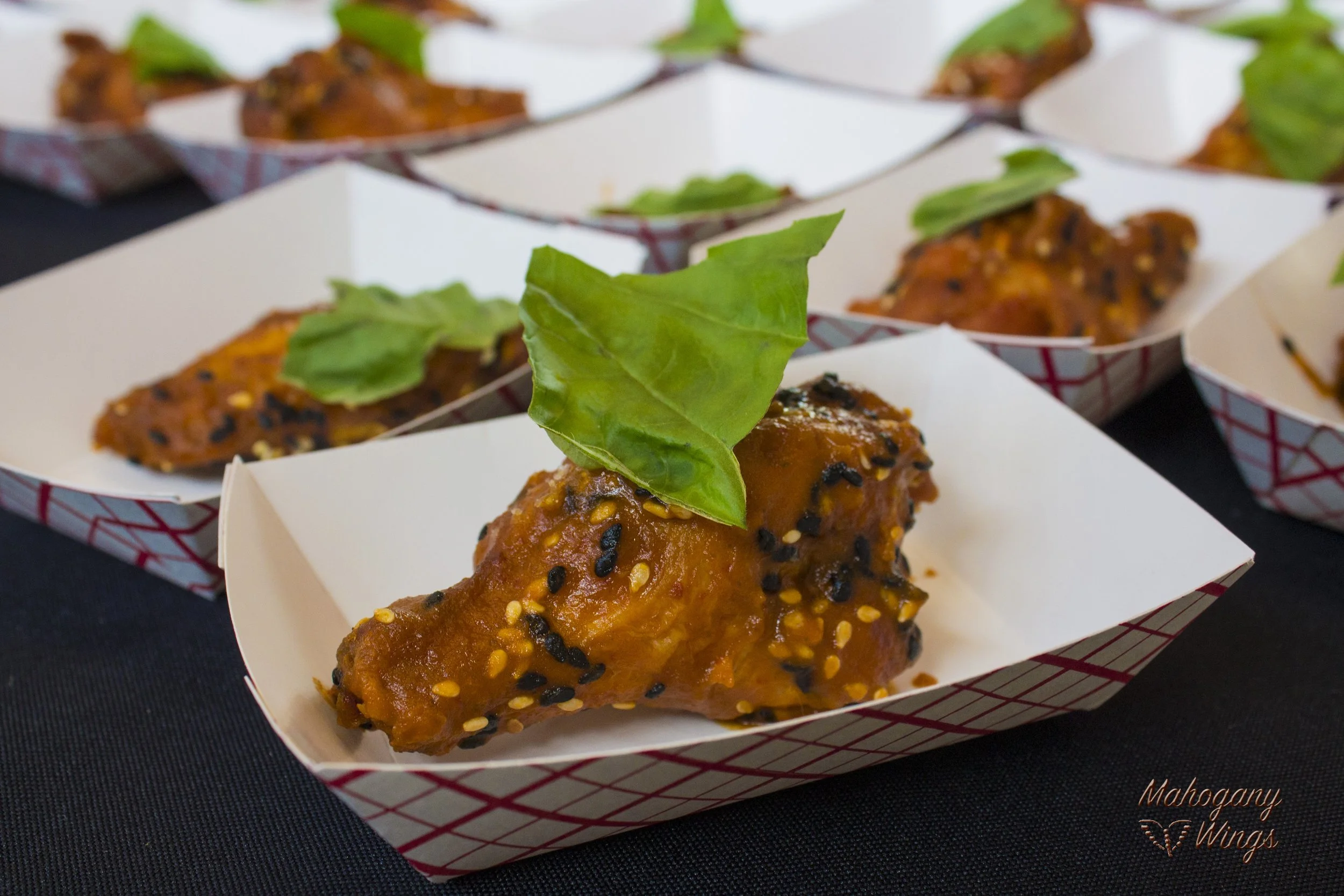 Southern Wing Festival