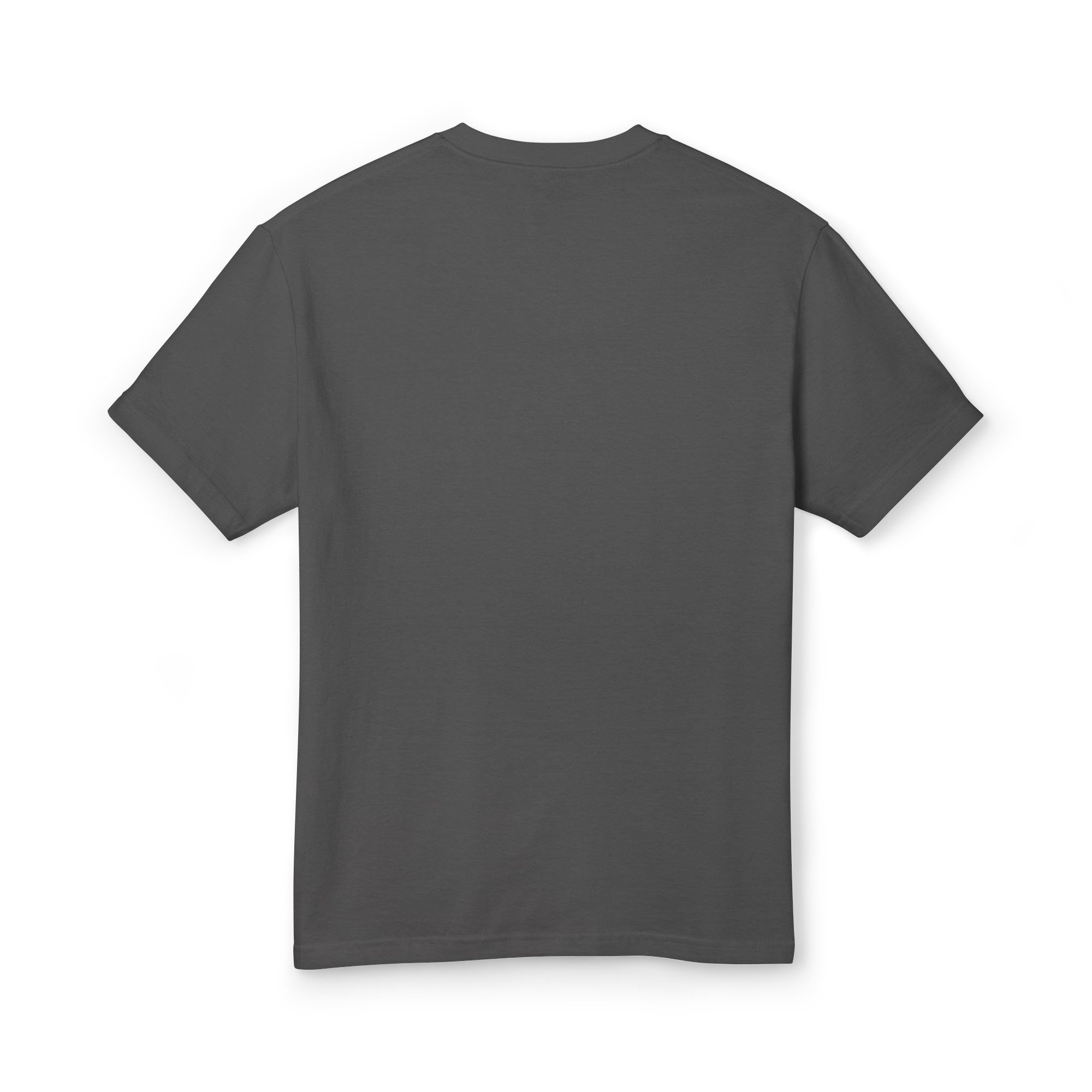 unisex-garment-dyed-heavyweight-cotton-tee-faded-black-back-6a7d47e95230e.jpg