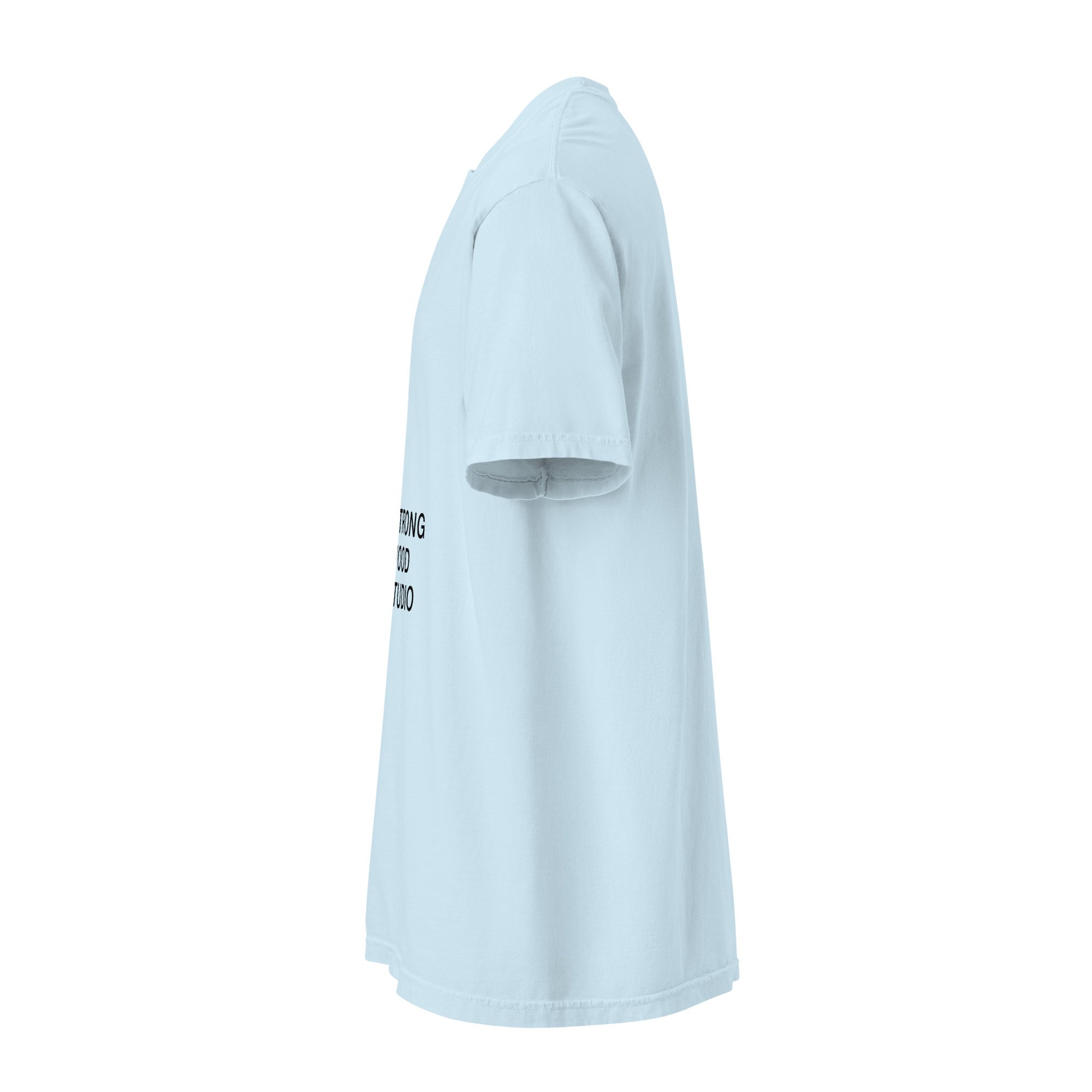 unisex-garment-dyed-heavyweight-t-shirt-chambray-left-6a7e1887ba616.jpg