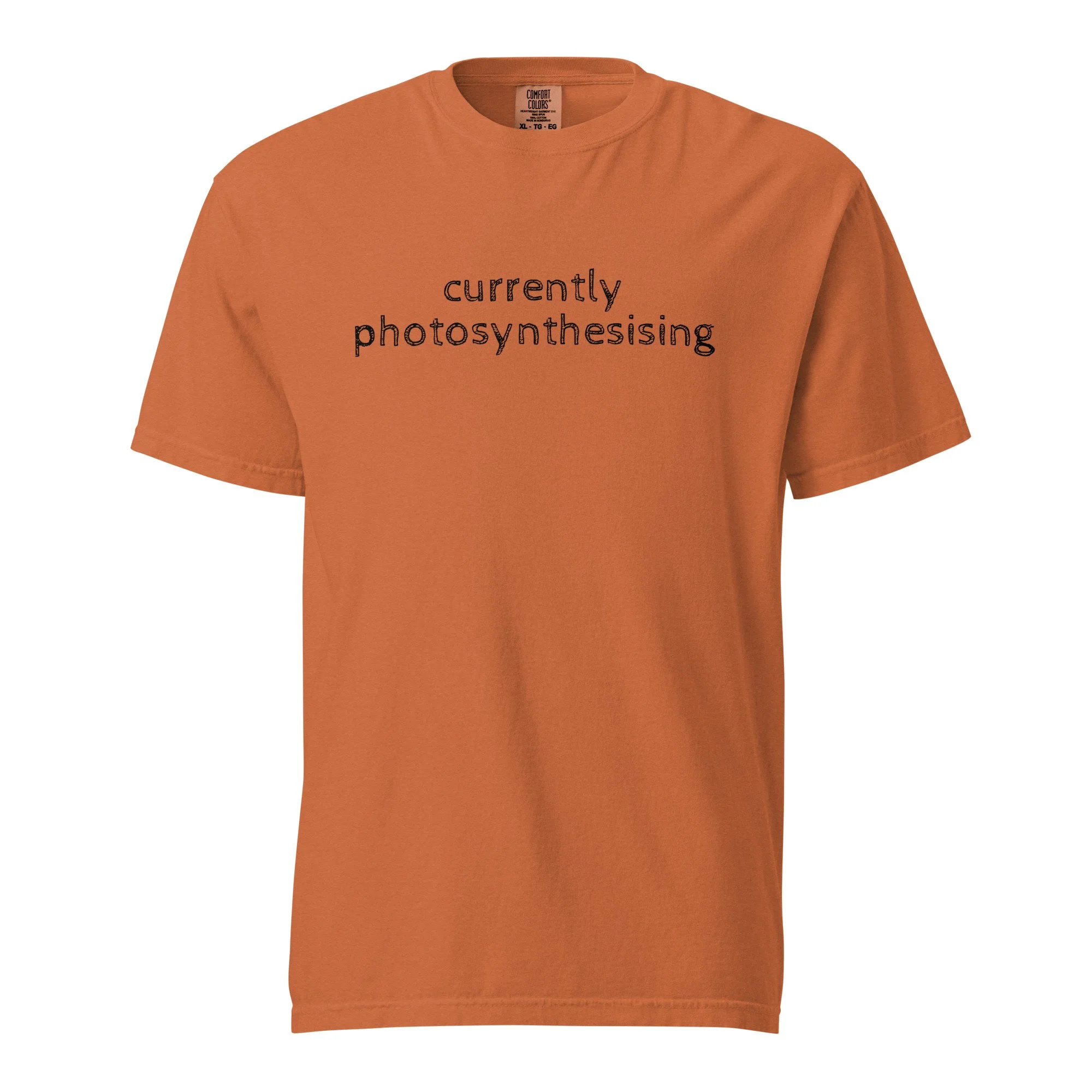 unisex-garment-dyed-heavyweight-t-shirt-yam-front-6a7e1bc07703f.jpg