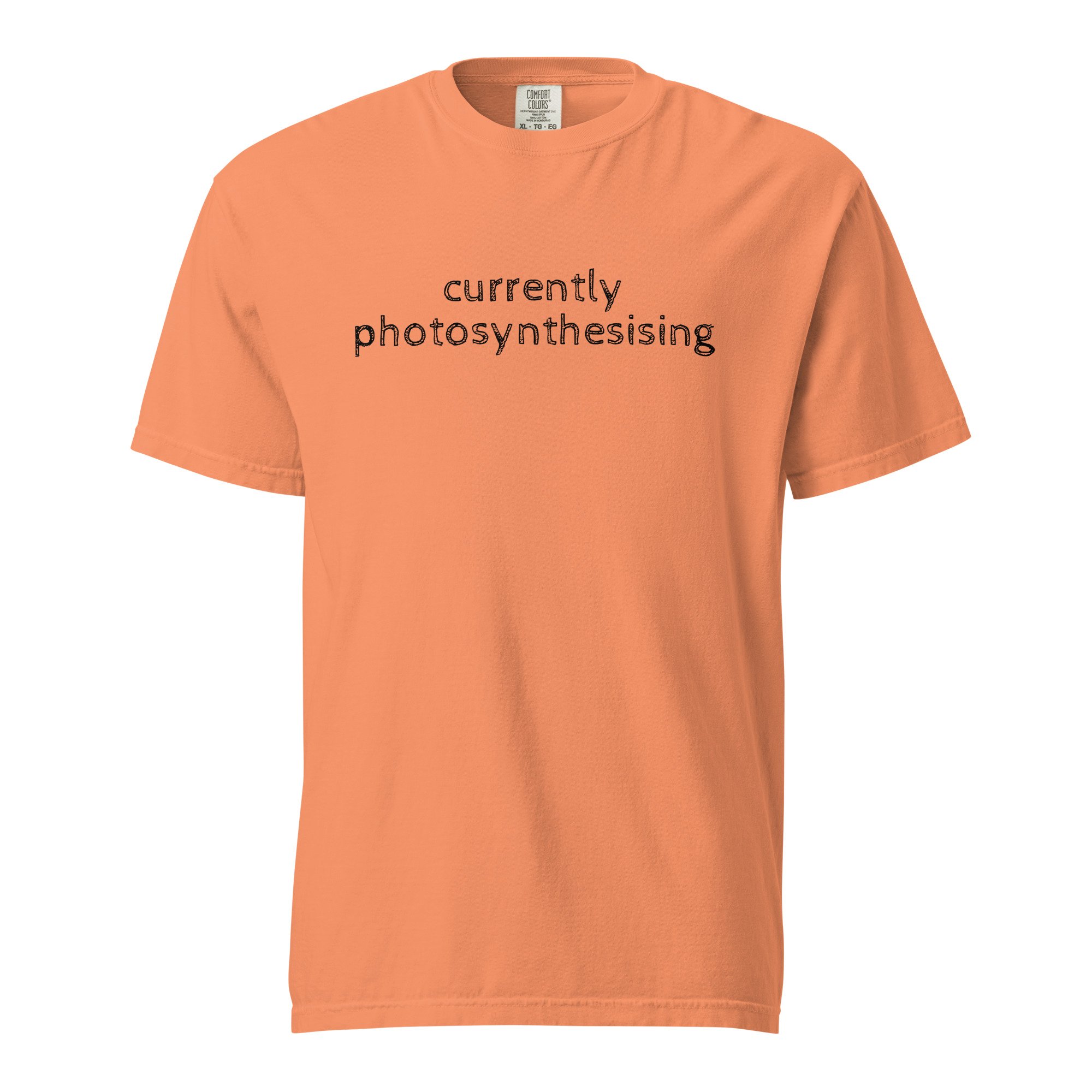 unisex-garment-dyed-heavyweight-t-shirt-terracotta-front-6a7e1bc076fde.jpg