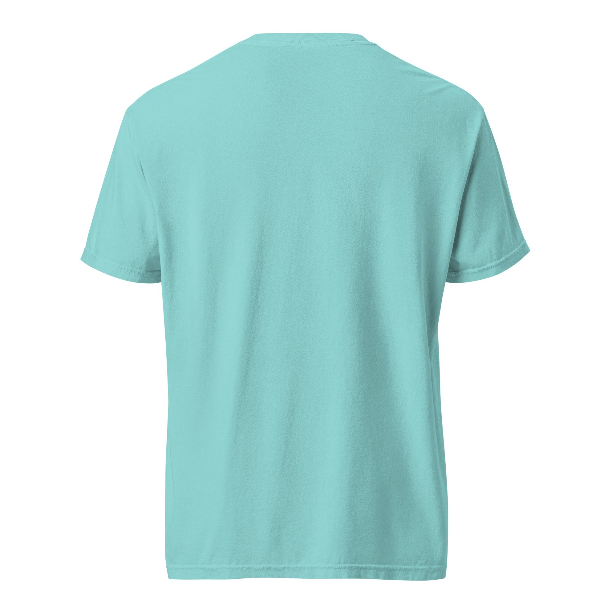 unisex-garment-dyed-heavyweight-t-shirt-lagoon-blue-back-6a7e1bc077c37.jpg