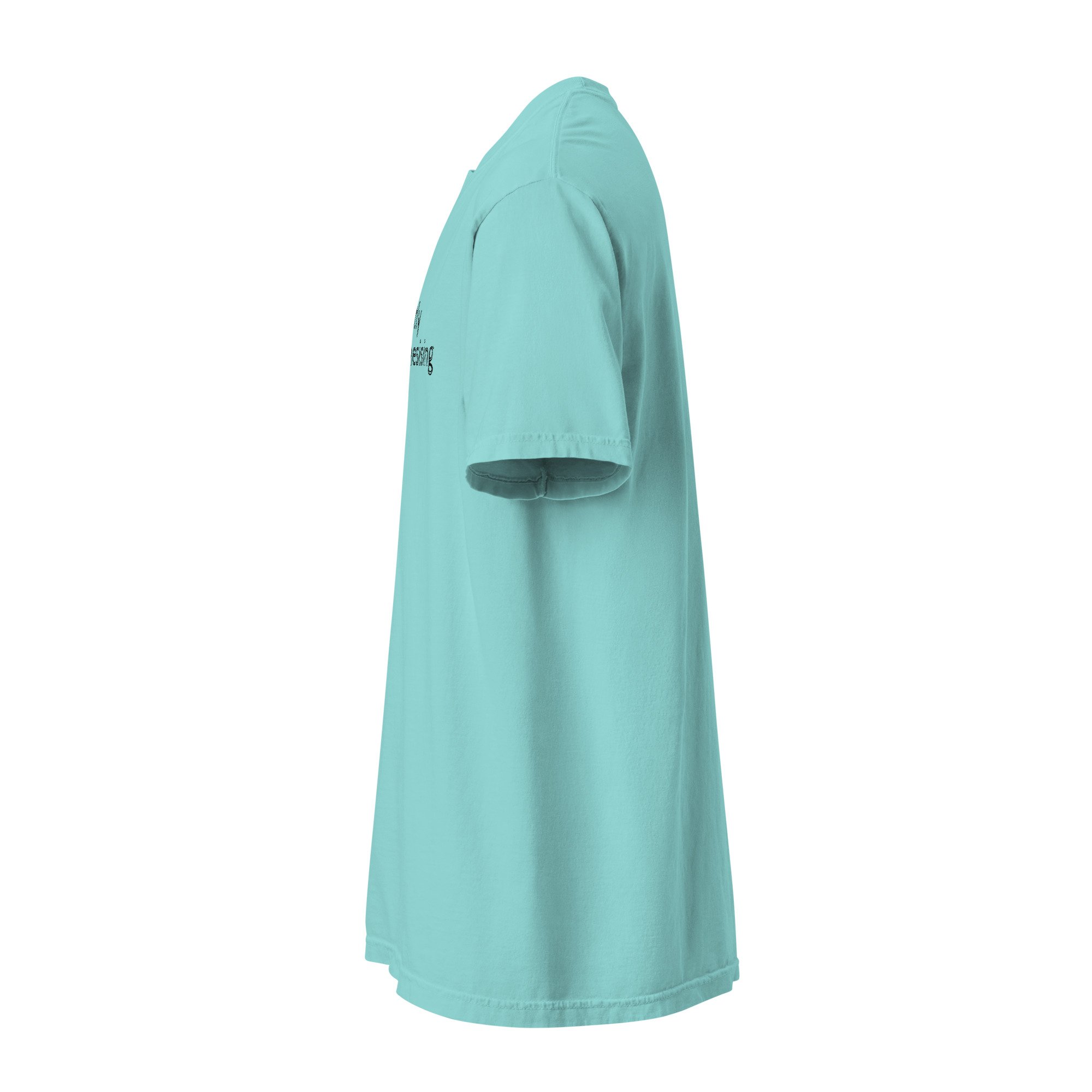 unisex-garment-dyed-heavyweight-t-shirt-lagoon-blue-left-6a7e1bc0788e5.jpg