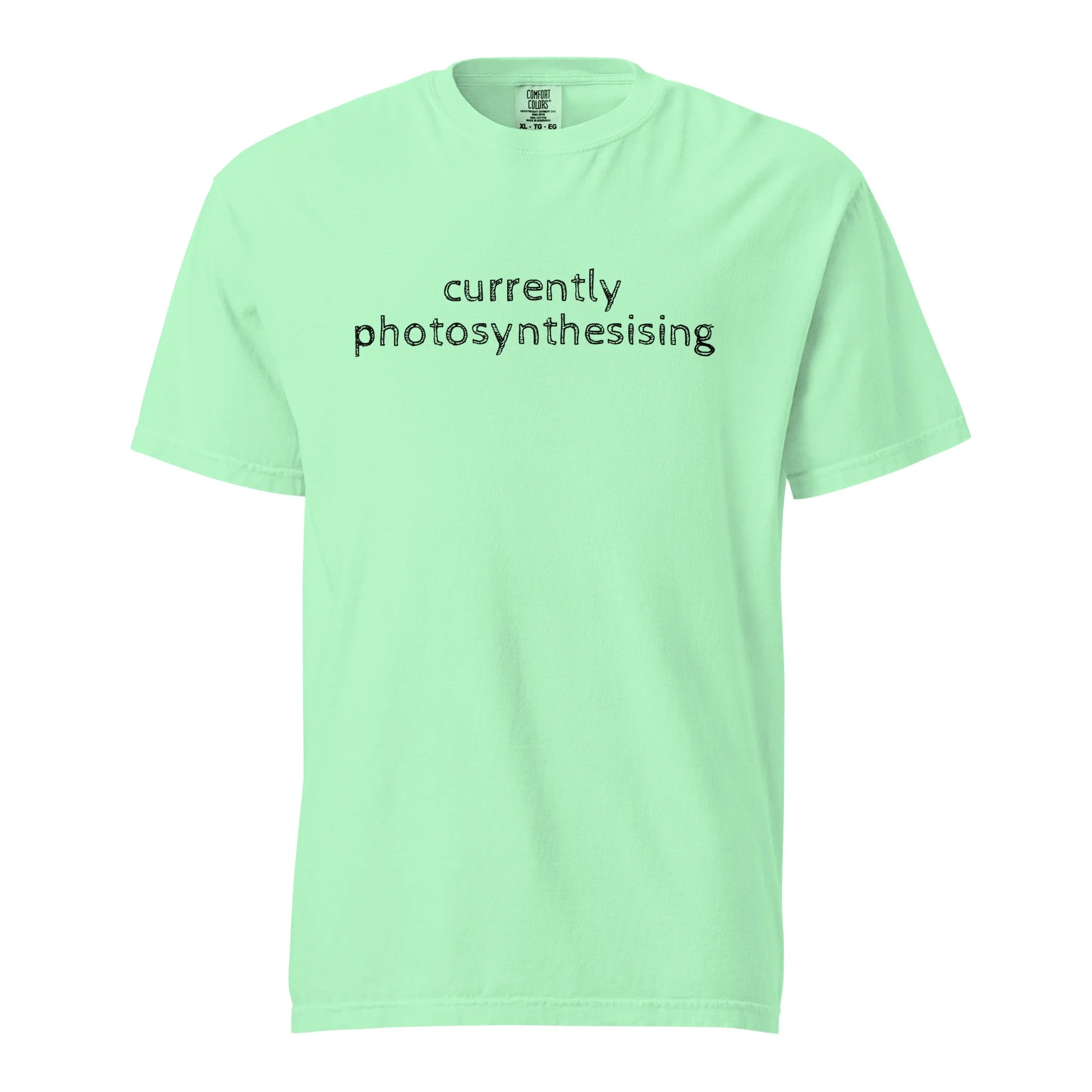 unisex-garment-dyed-heavyweight-t-shirt-island-reef-front-6a7e1bc077071.jpg