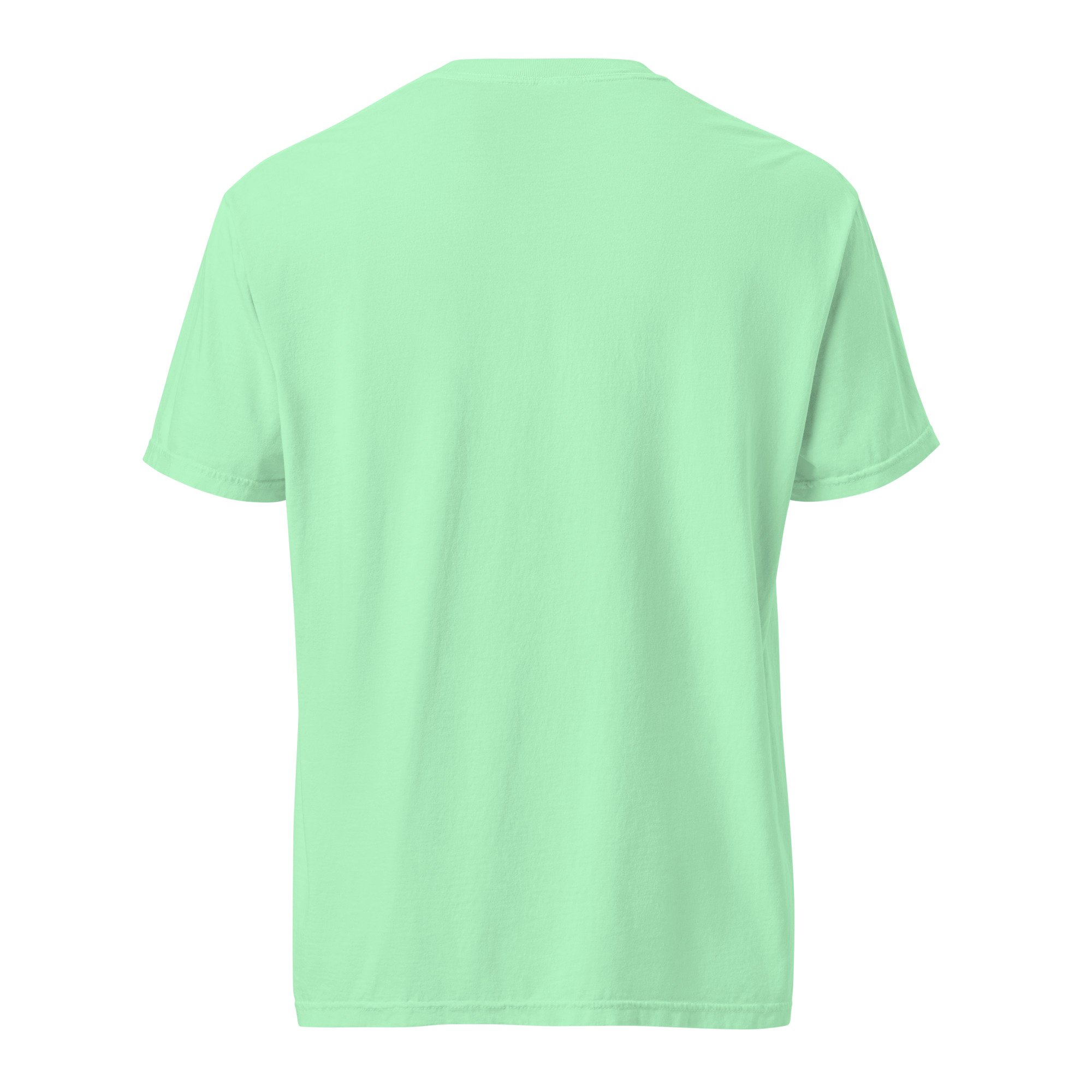 unisex-garment-dyed-heavyweight-t-shirt-island-reef-back-6a7e1bc077cf1.jpg