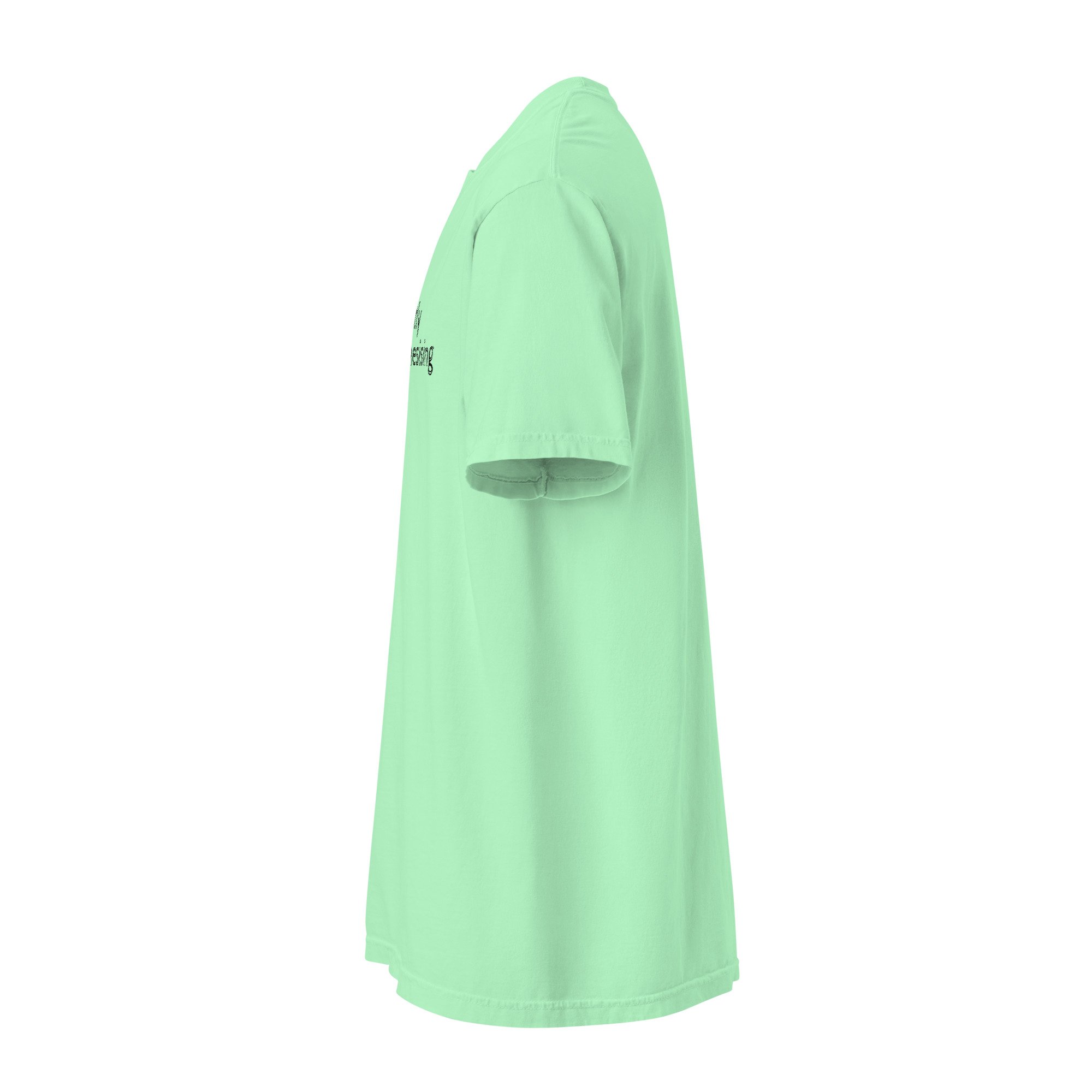 unisex-garment-dyed-heavyweight-t-shirt-island-reef-left-6a7e1bc07899a.jpg