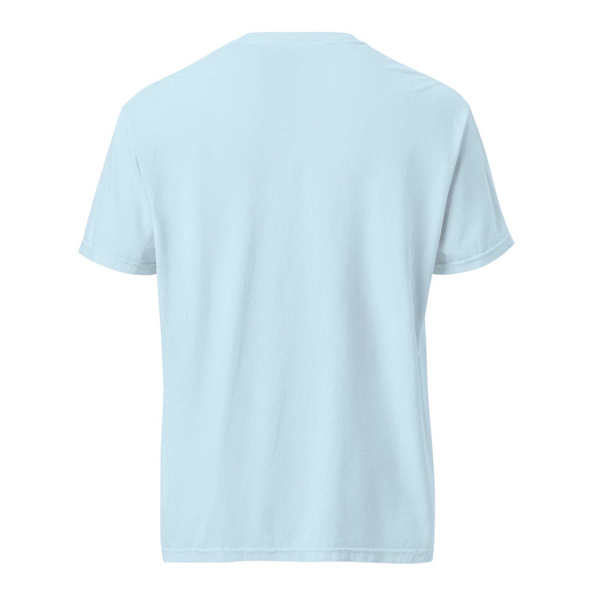 unisex-garment-dyed-heavyweight-t-shirt-chambray-back-6a7e1bc077bda.jpg