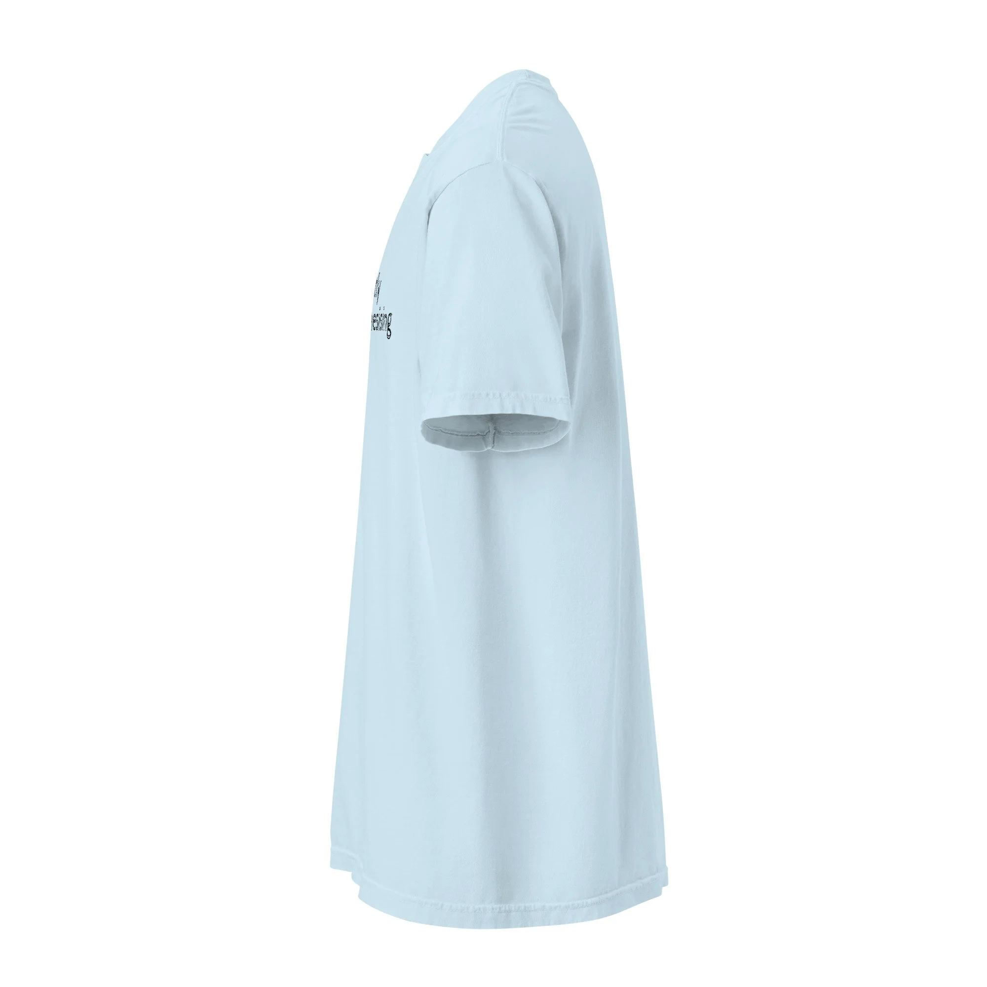 unisex-garment-dyed-heavyweight-t-shirt-chambray-left-6a7e1bc07888a.jpg