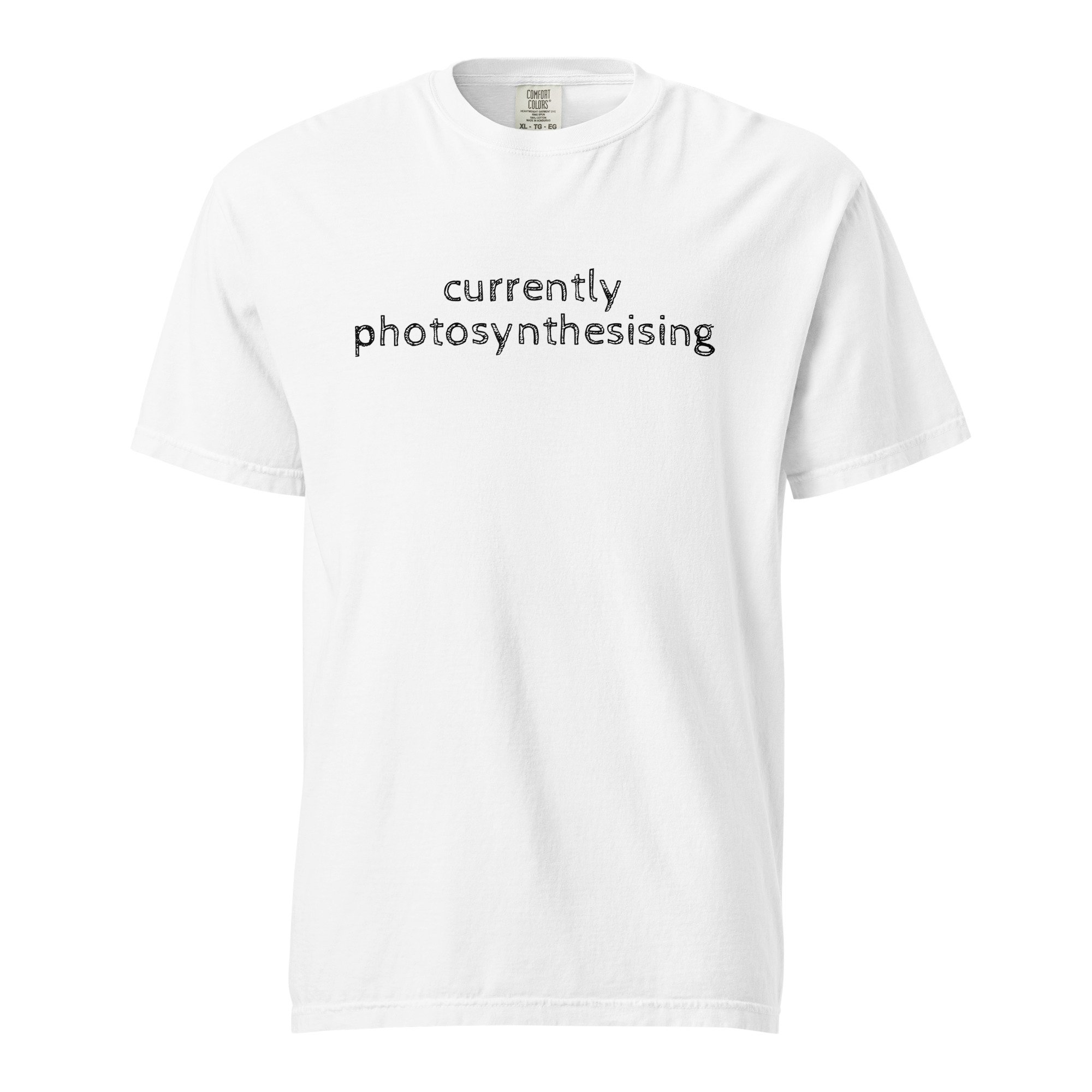 unisex-garment-dyed-heavyweight-t-shirt-white-front-6a7e1bc077010.jpg