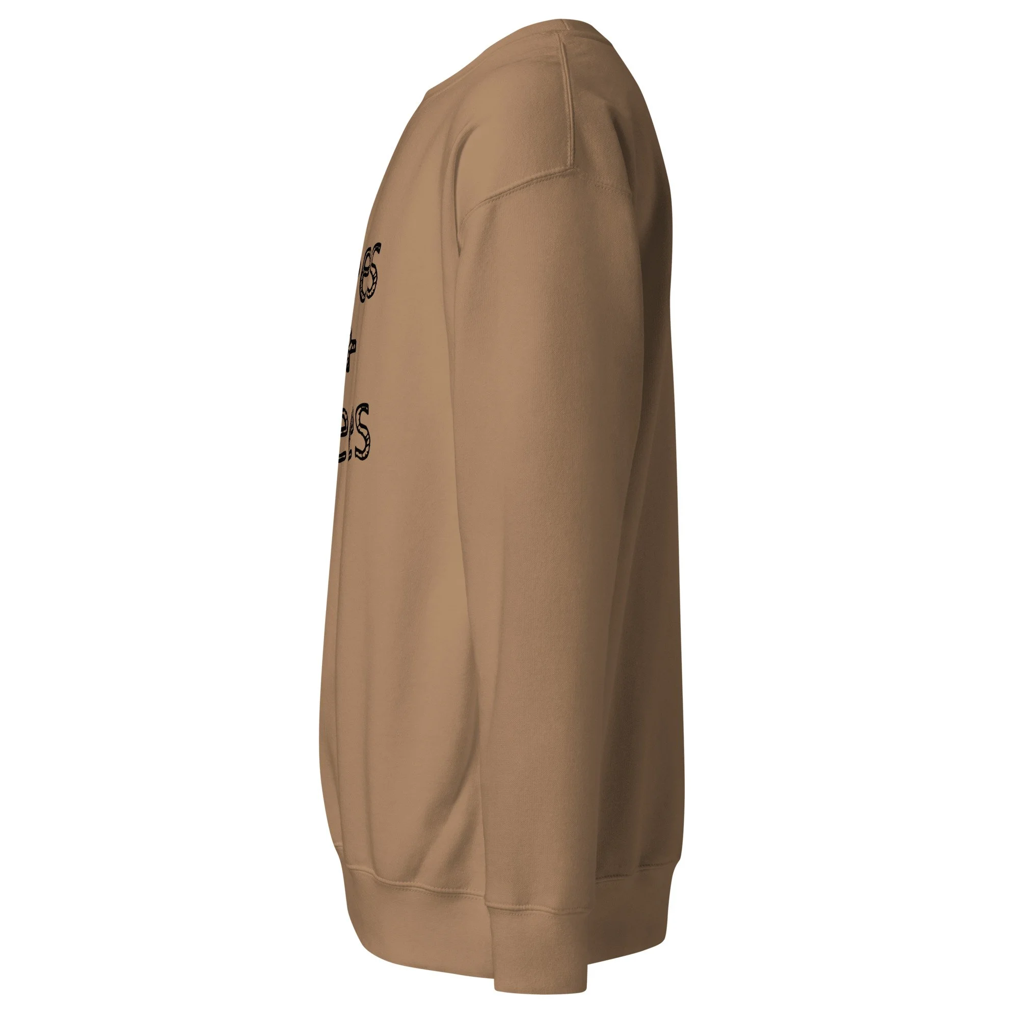 unisex-premium-sweatshirt-latte-left-6a7e2af00ae2c.jpg