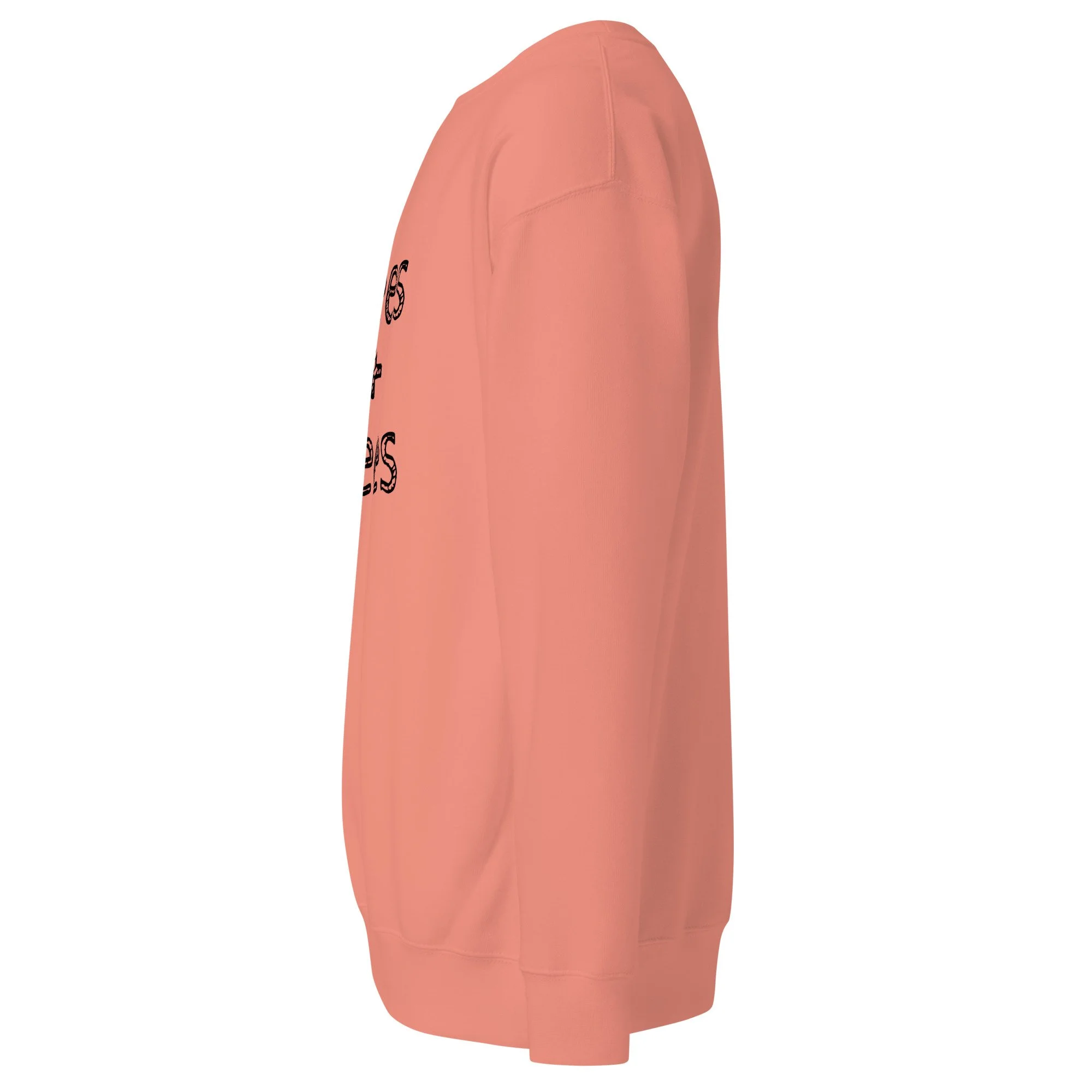 unisex-premium-sweatshirt-dusty-rose-left-6a7e2af00ad74.jpg
