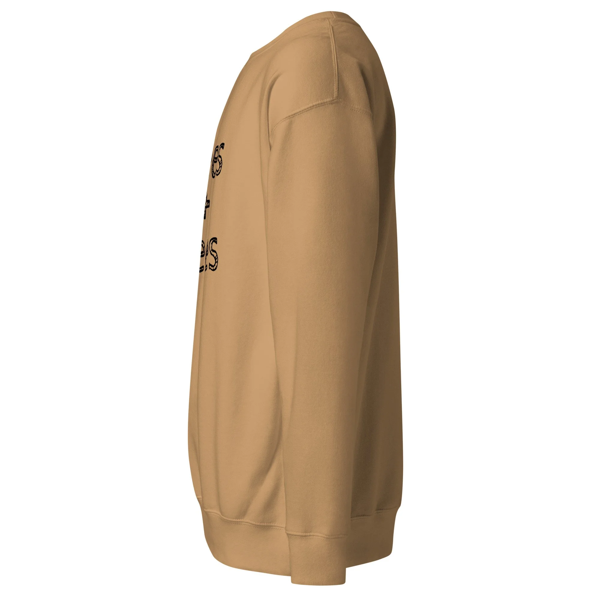 unisex-premium-sweatshirt-khaki-left-6a7e2af00af41.jpg