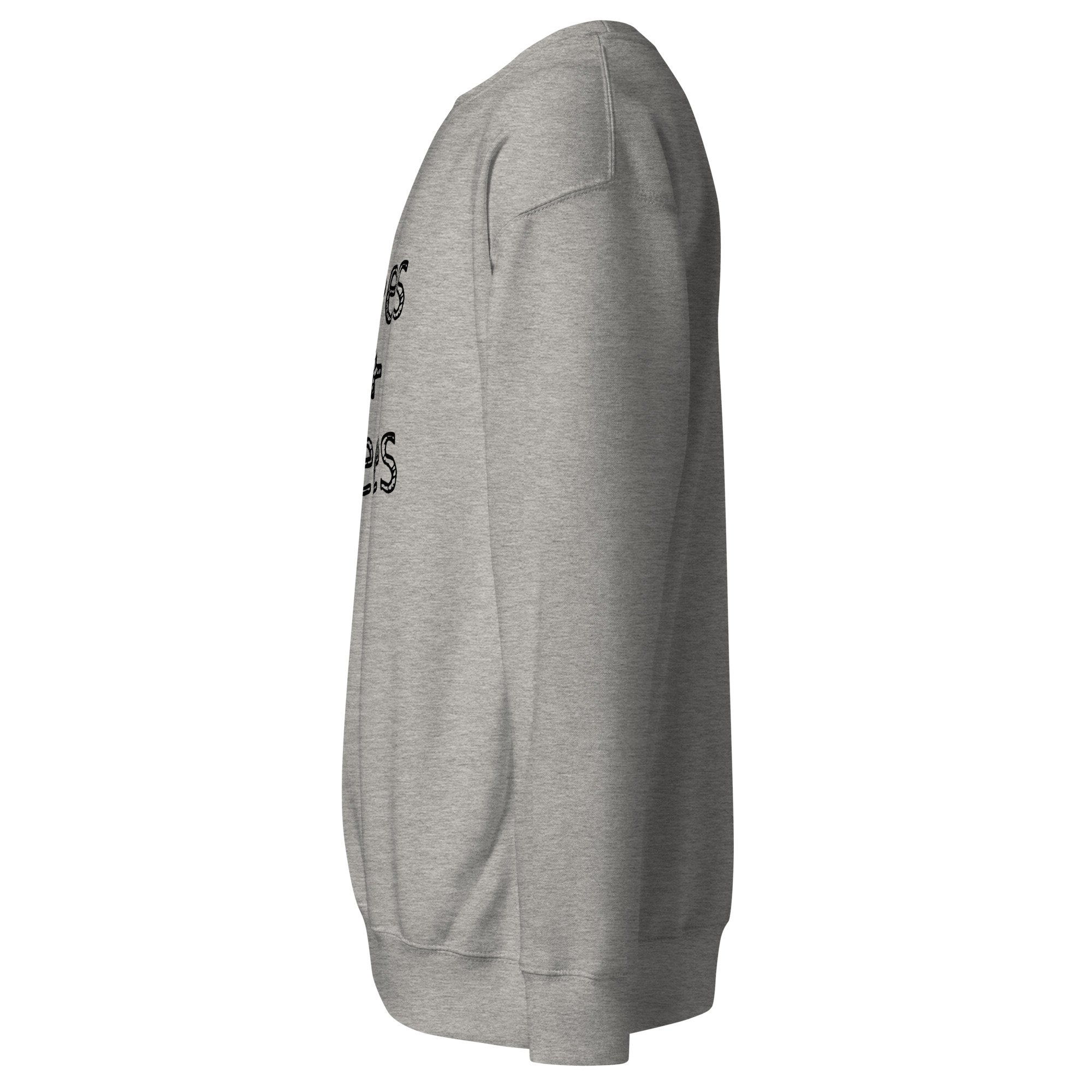 unisex-premium-sweatshirt-carbon-grey-left-6a7e2af00ad2e.jpg