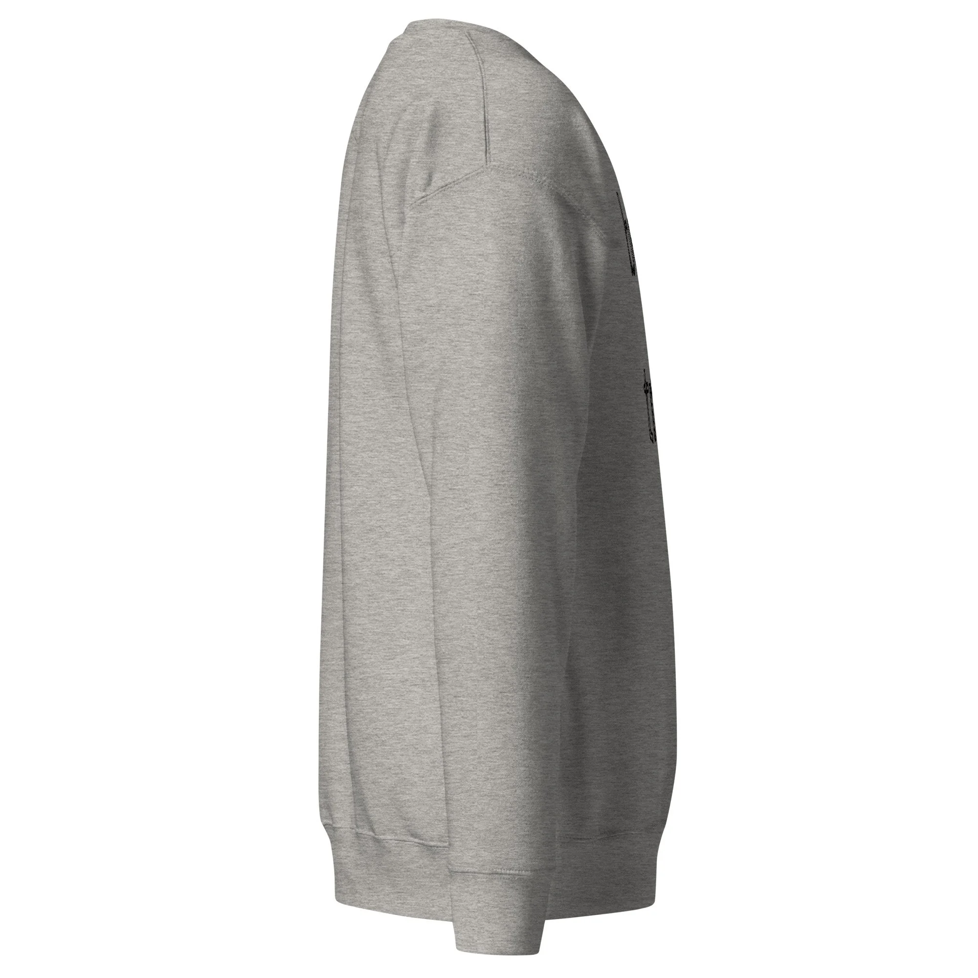unisex-premium-sweatshirt-carbon-grey-right-6a7e2af00bb09.jpg