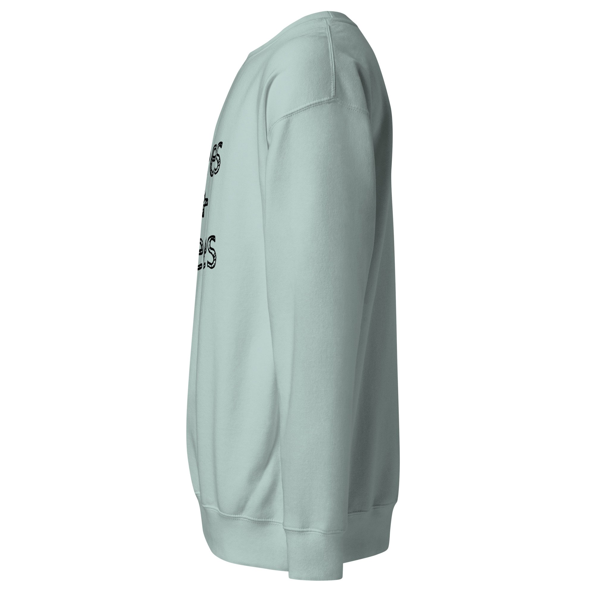 unisex-premium-sweatshirt-agave-left-6a7e2af00ac84.jpg