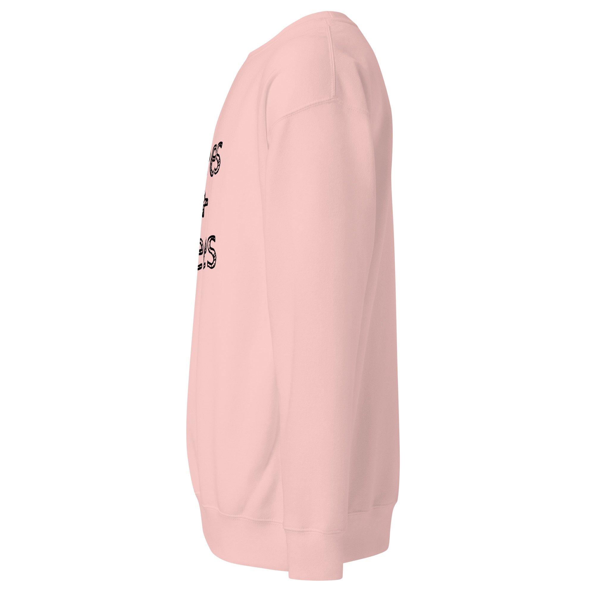 unisex-premium-sweatshirt-light-pink-left-6a7e2af00aeda.jpg