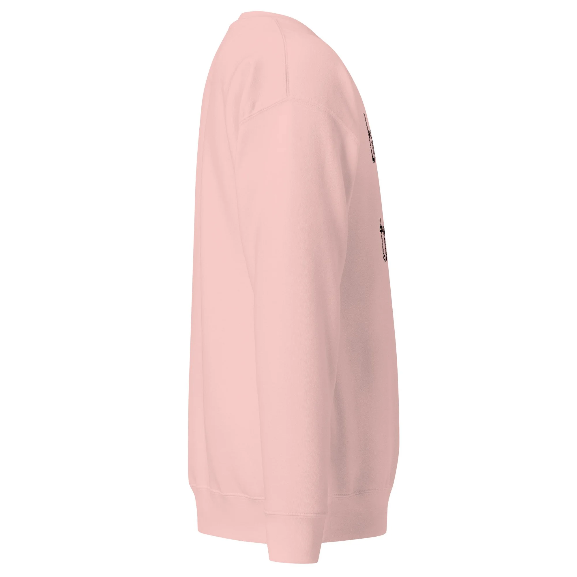 unisex-premium-sweatshirt-light-pink-right-6a7e2af00bc79.jpg