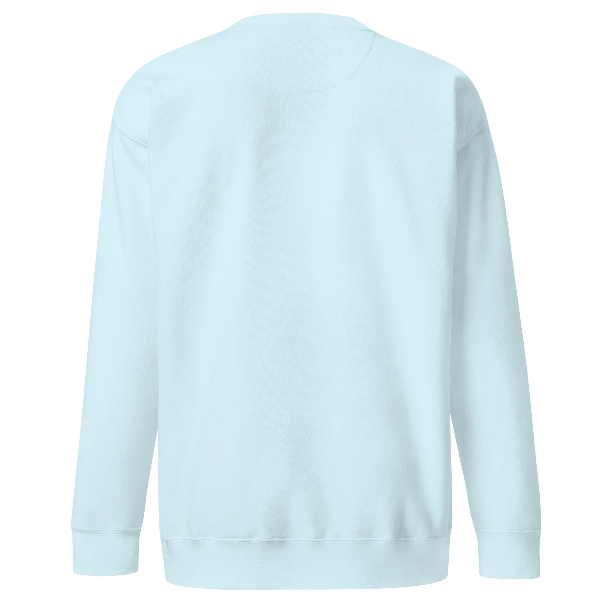 unisex-premium-sweatshirt-sky-blue-back-6a7e2af00a053.jpg