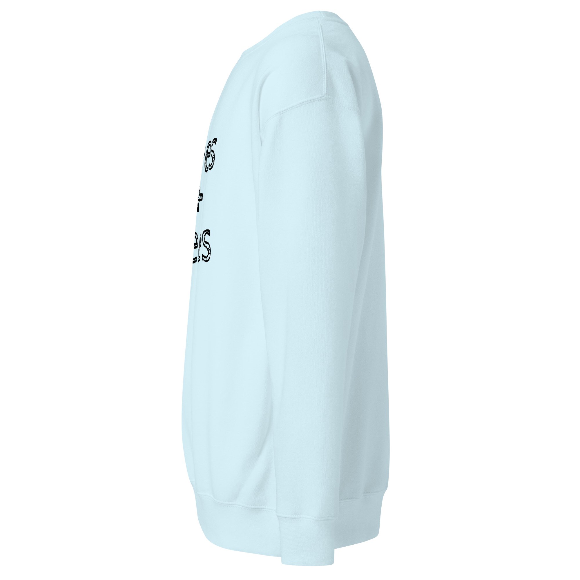 unisex-premium-sweatshirt-sky-blue-left-6a7e2af00aea0.jpg