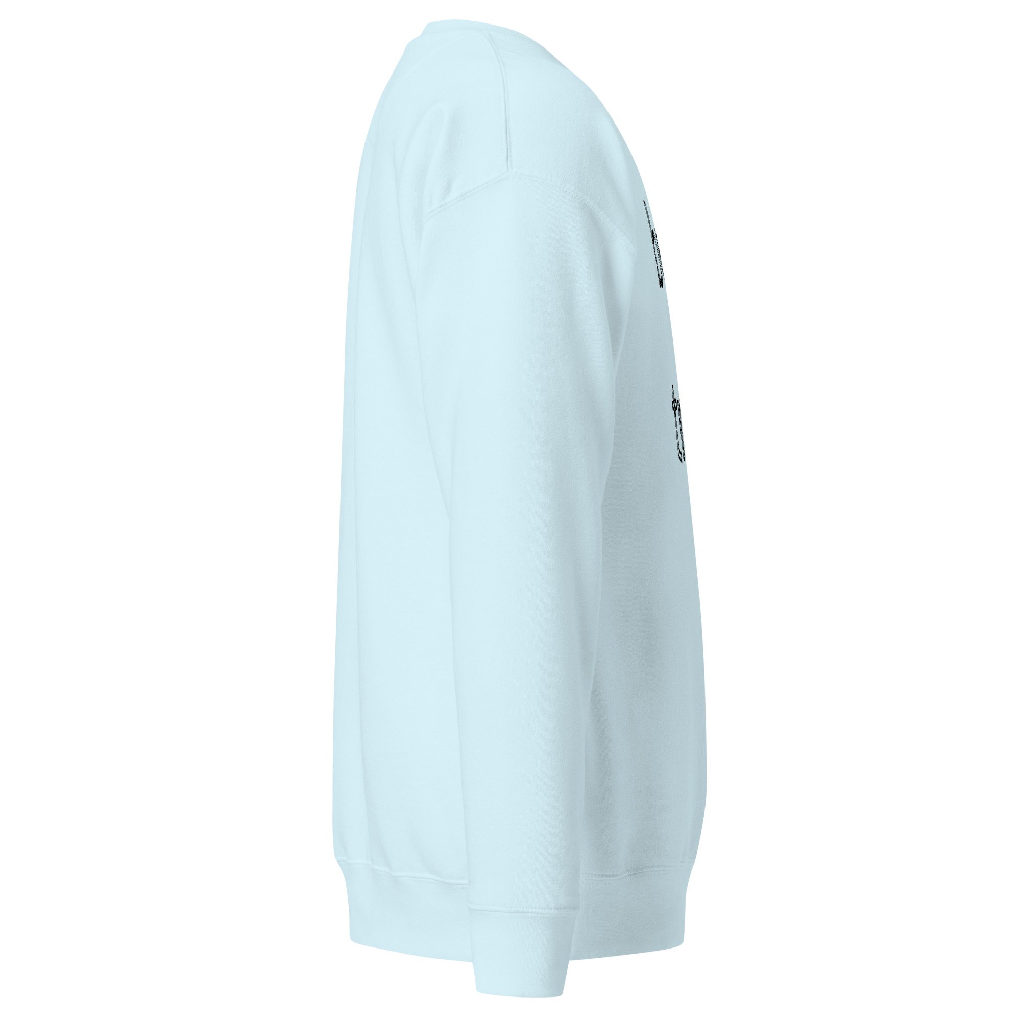 unisex-premium-sweatshirt-sky-blue-right-6a7e2af00bc46.jpg