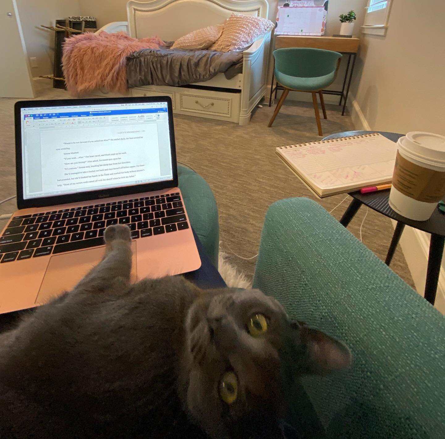 #amwriting kind of. If this girl will let me 😹 My book&rsquo;s due tomorrow for a copy-edit, but Shelby has other ideas...

#SerenasSilence #comingsoon