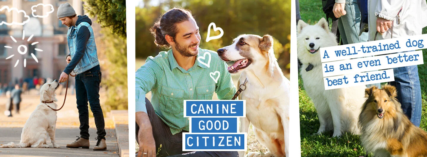 k9 good citizen