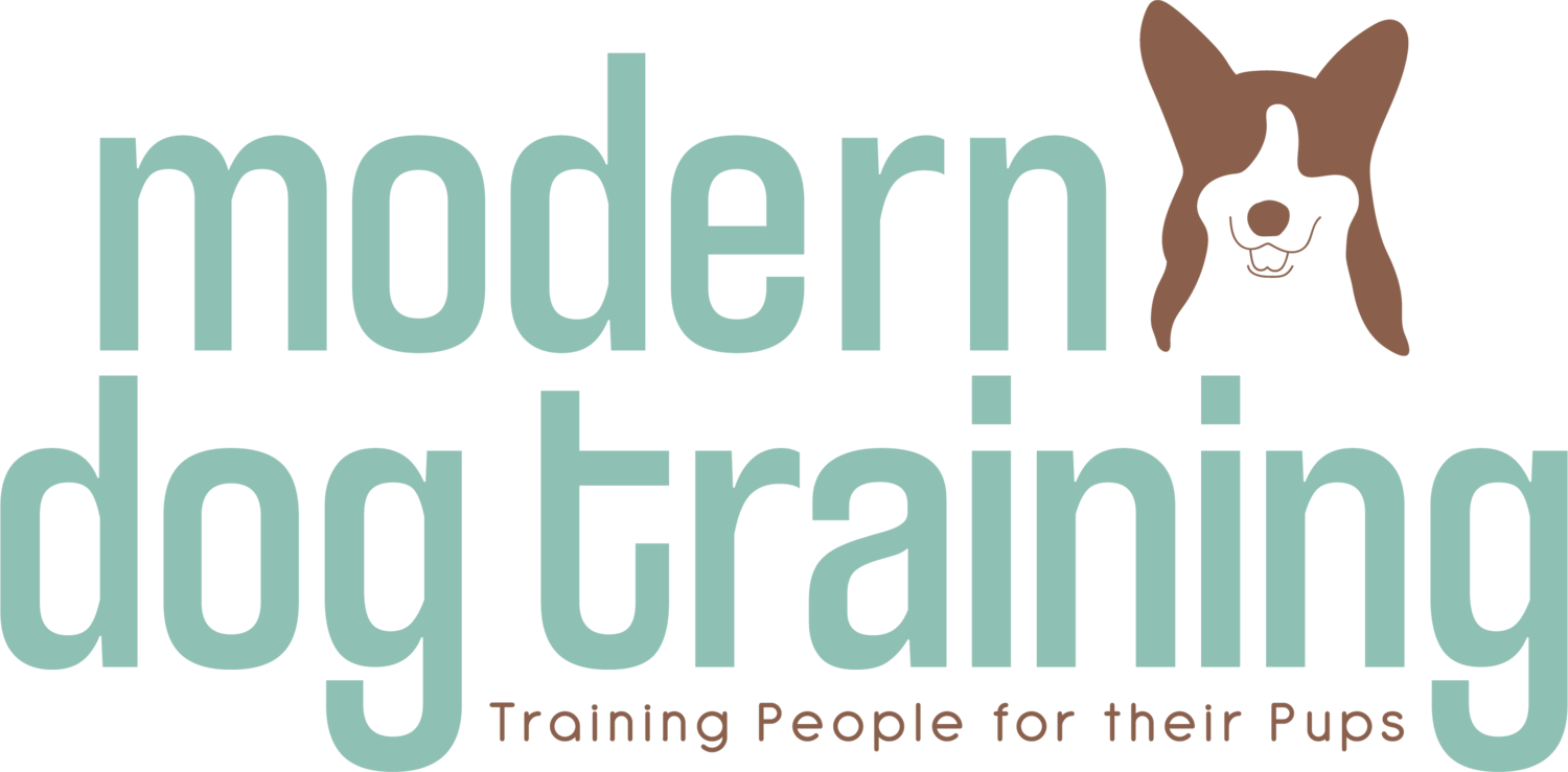 Modern Dog Training RI