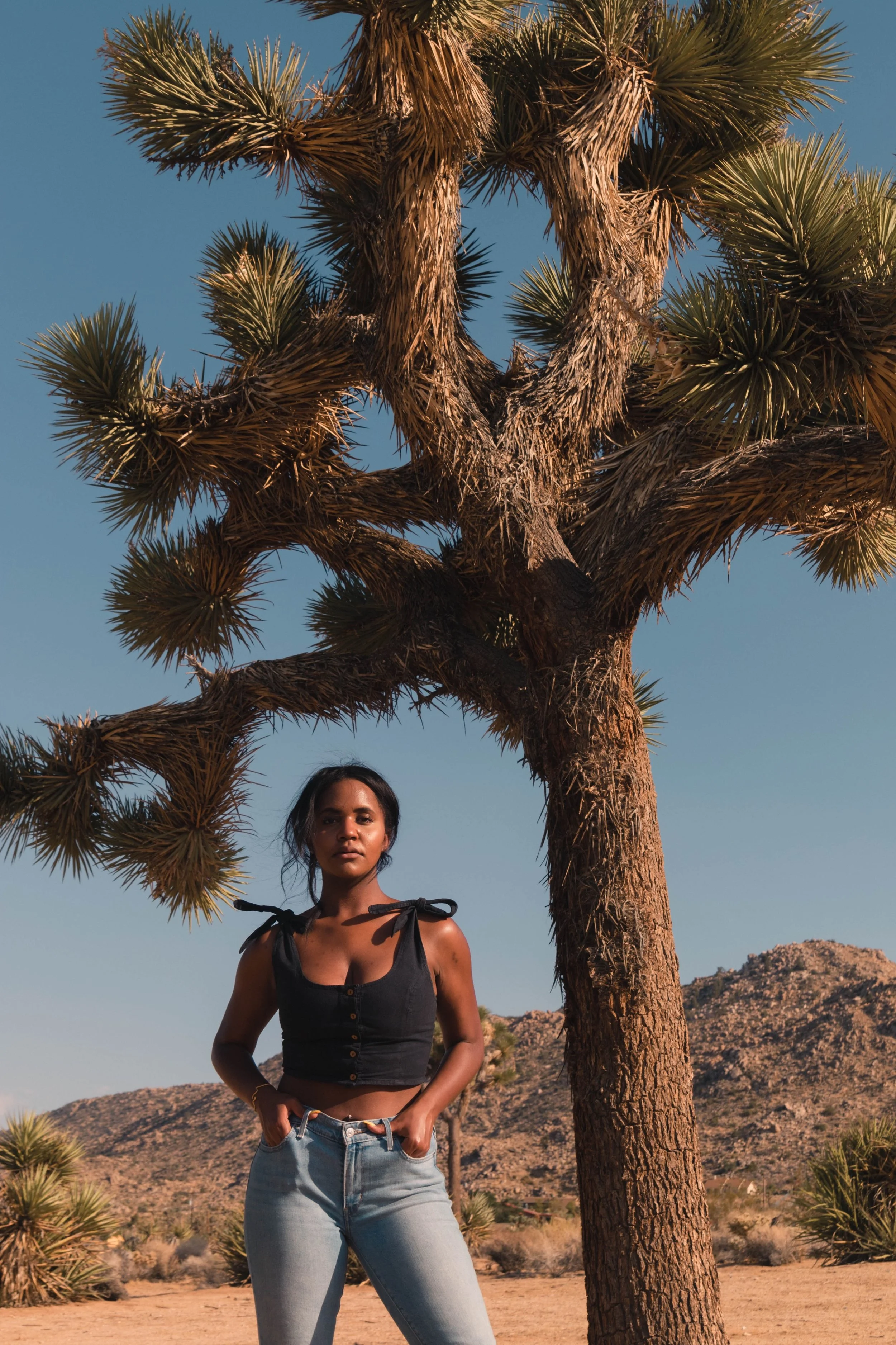 Ajani's Guide to Joshua Tree 