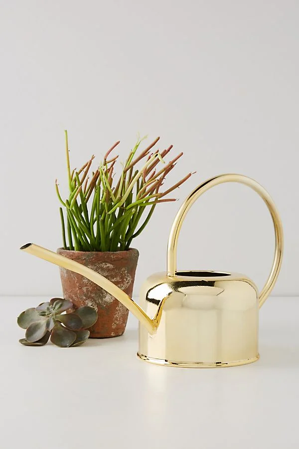 Anthropologie Watering Can