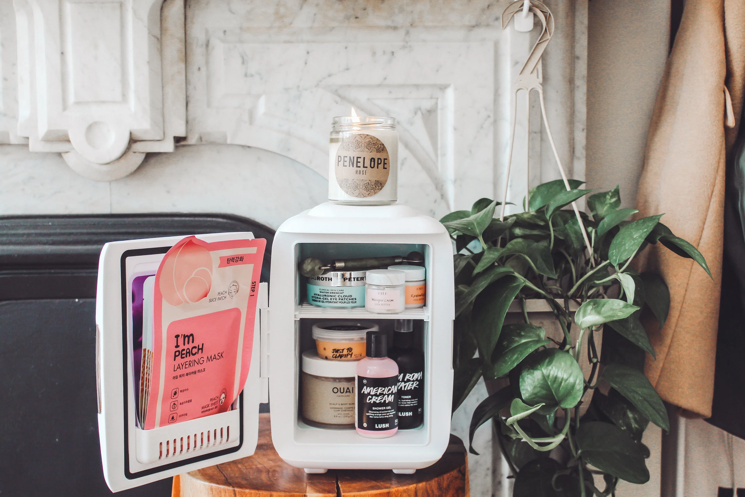 Beauty Fridge Top Shelf Favorites 